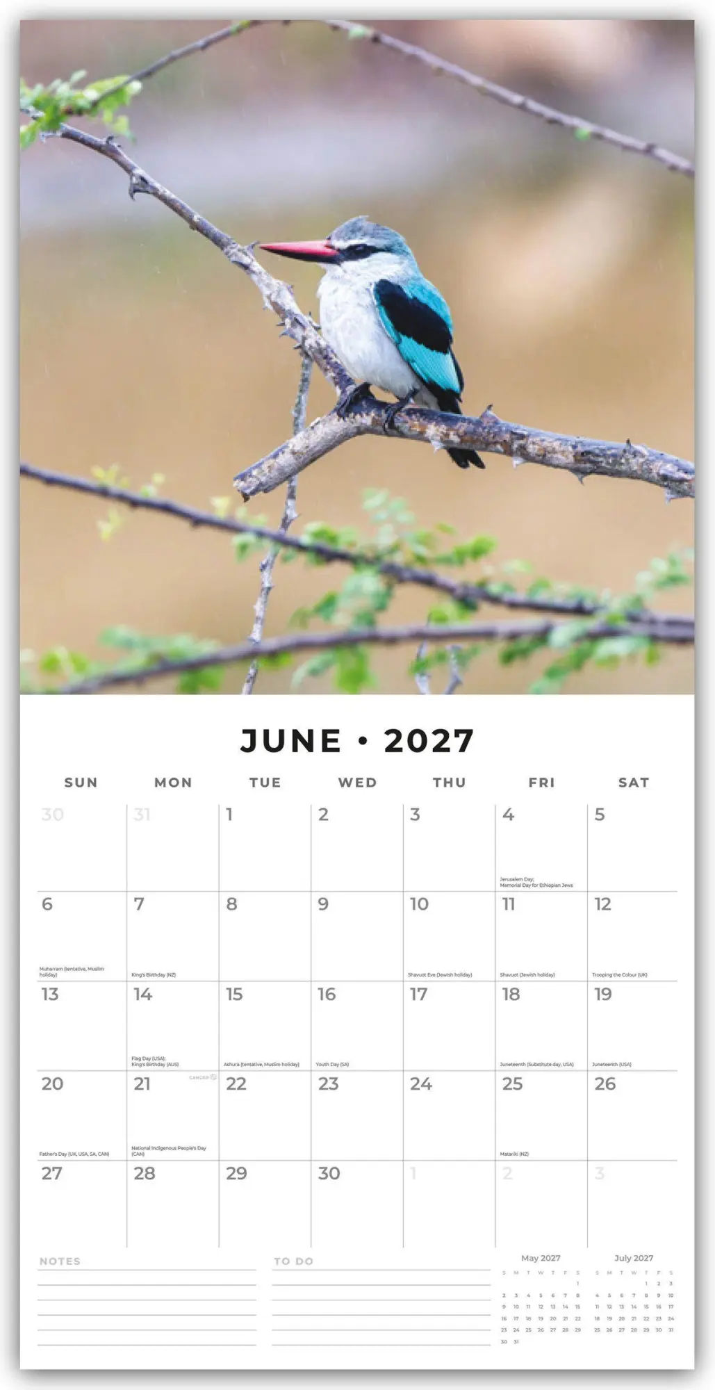 Bild: 9781837011094 | Kingfishers - Eisvögel 2027 - 16-Monatskalender | Robin Red | Kalender