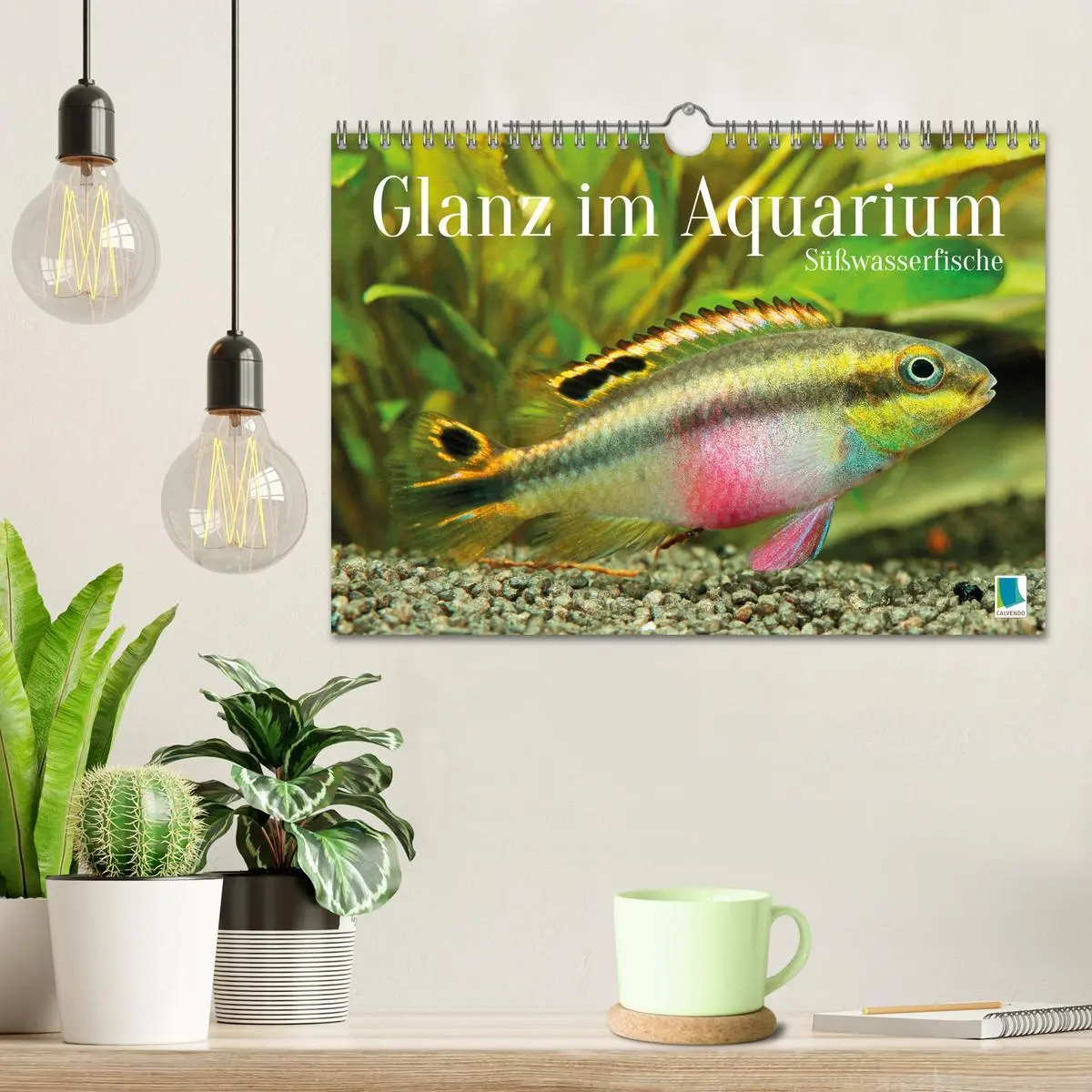 Bild: 9783457271094 | Glanz im Aquarium: Süßwasserfische (Wandkalender 2026 DIN A4 quer),...
