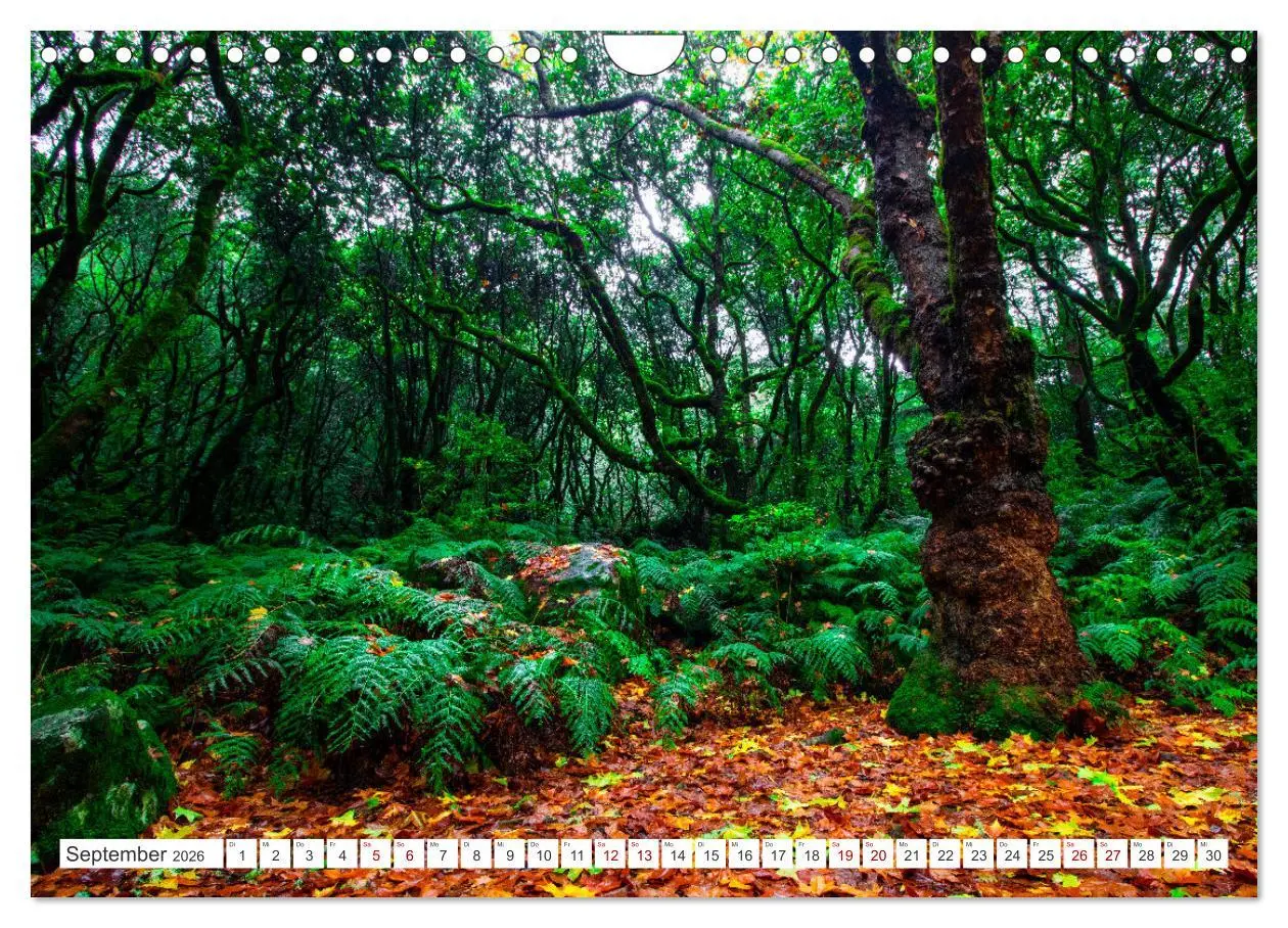 Bild: 9783457581094 | Madeira - Eine Perle im Atlantischen Ozean (Wandkalender 2026 DIN...