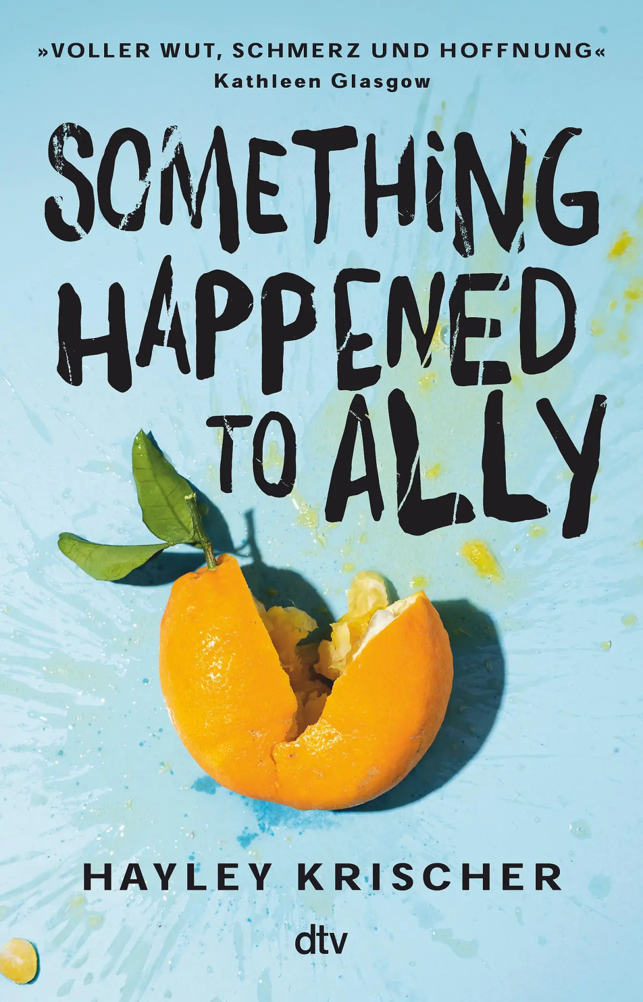 Cover: 9783423741194 | Something happened to Ally | Hayley Krischer | Taschenbuch | 384 S.