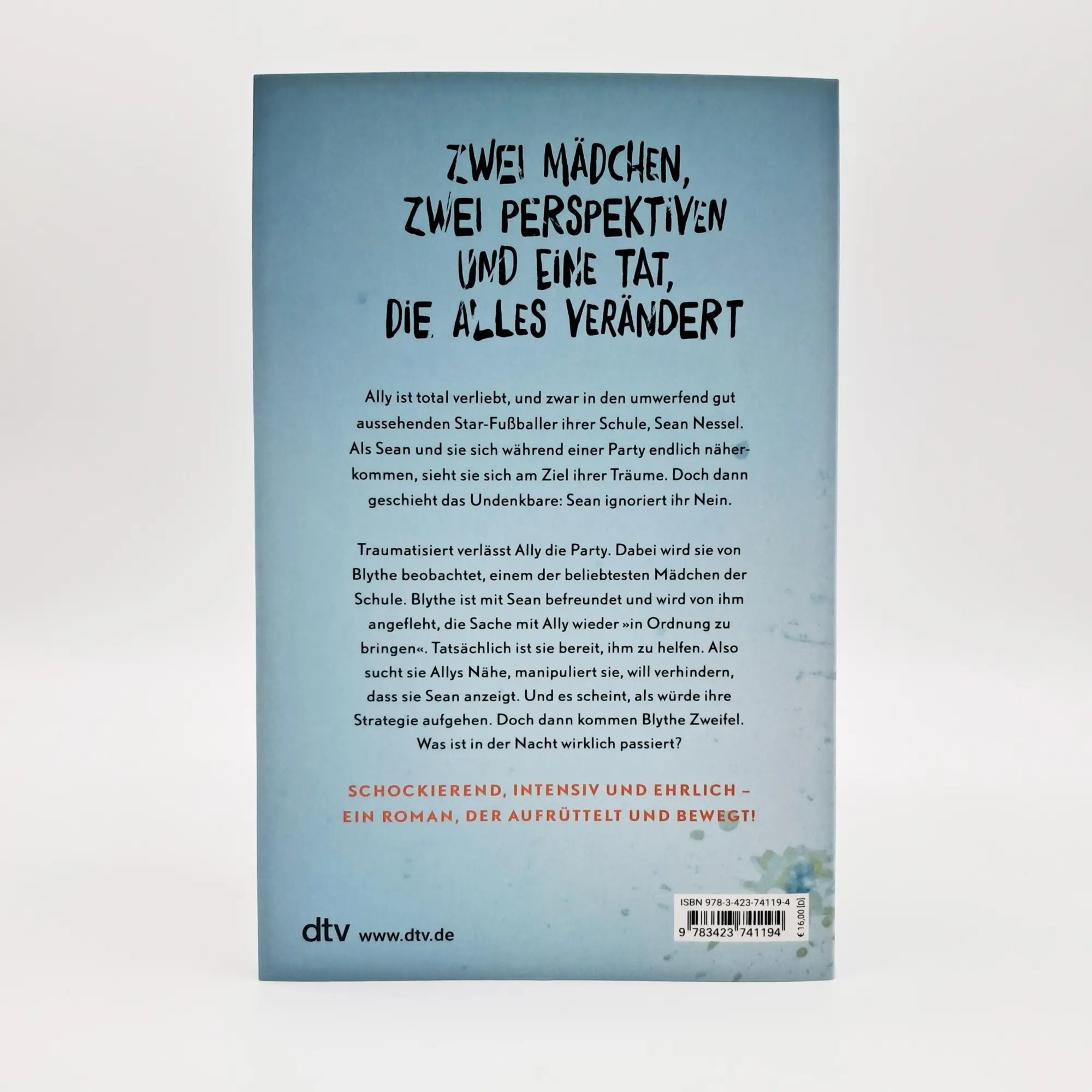 Bild: 9783423741194 | Something happened to Ally | Hayley Krischer | Taschenbuch | 384 S.