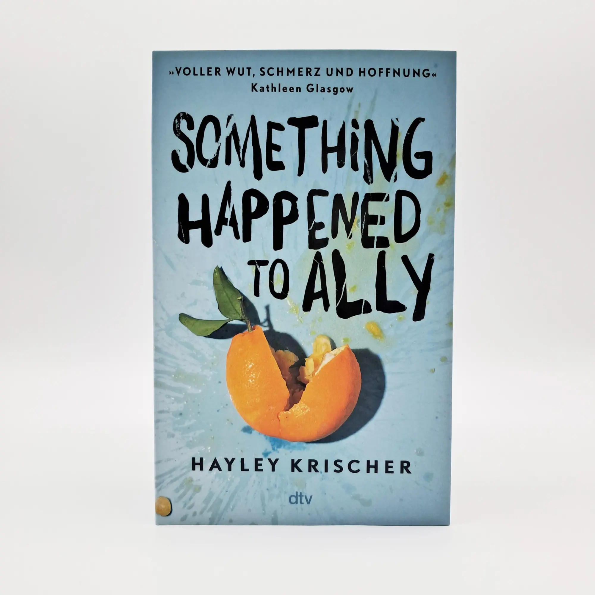 Bild: 9783423741194 | Something happened to Ally | Hayley Krischer | Taschenbuch | 384 S.