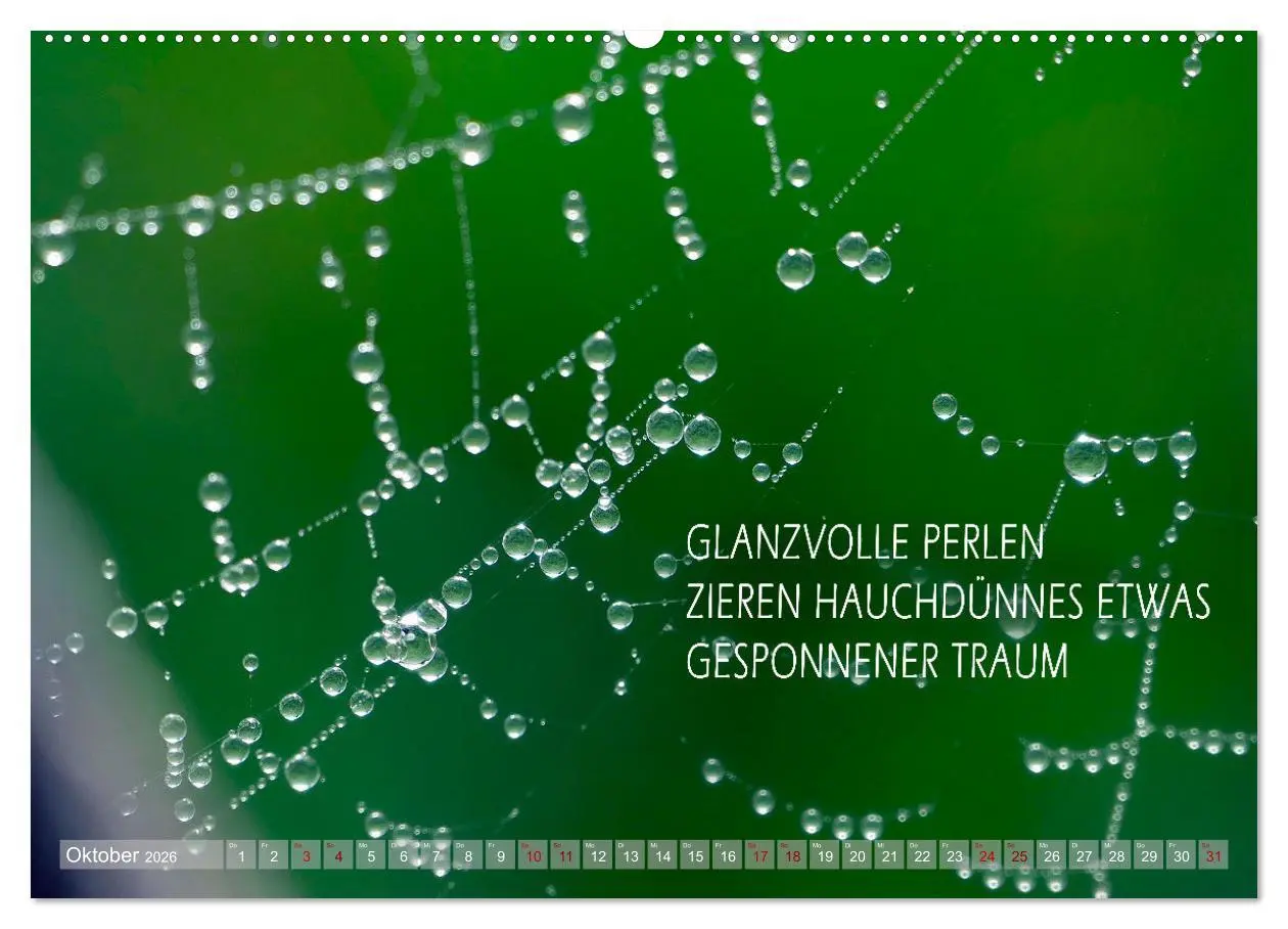 Bild: 9783457401194 | Haiku Poesie in Wort und Bild (Wandkalender 2026 DIN A2 quer),...