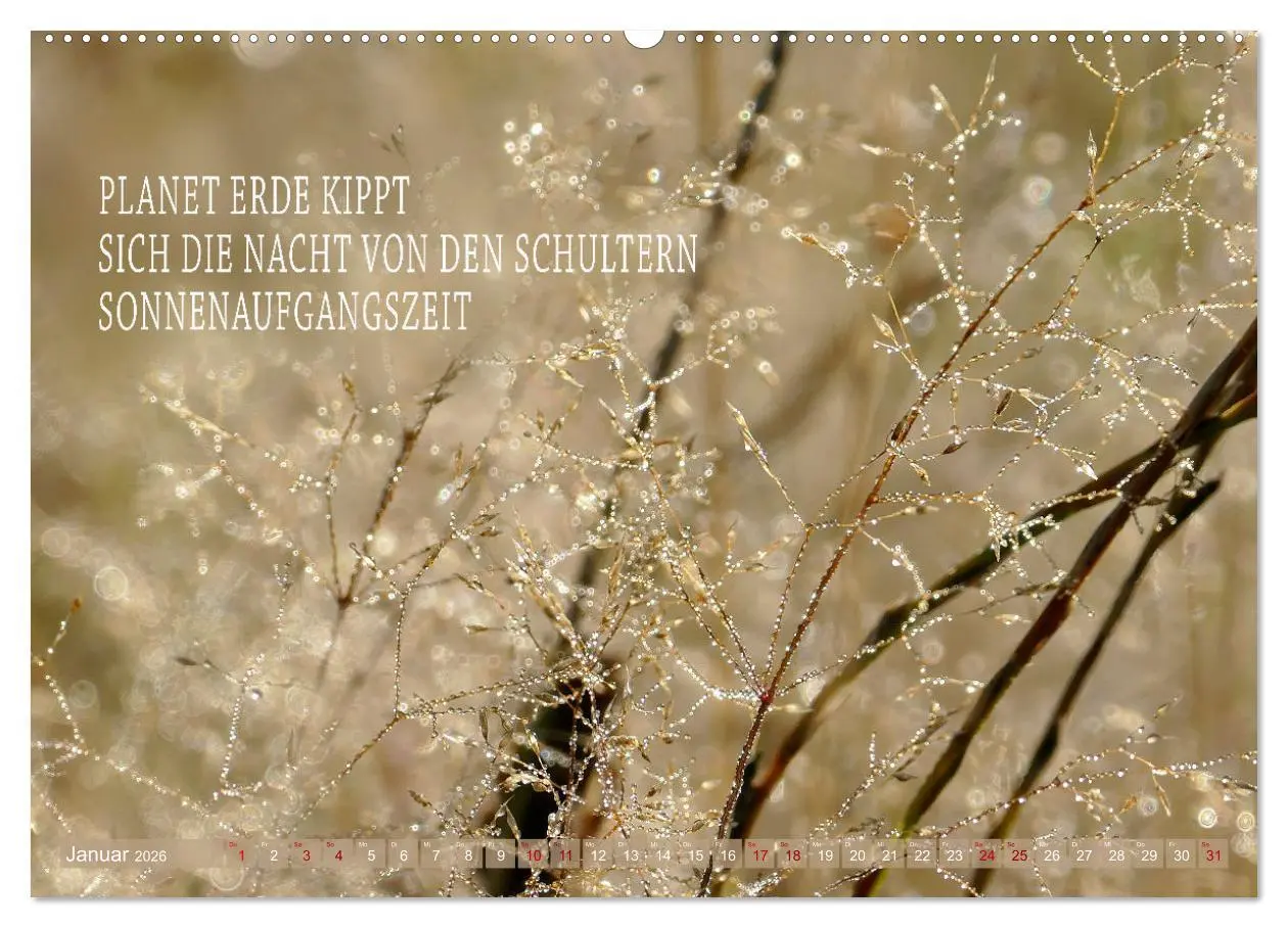 Bild: 9783457401194 | Haiku Poesie in Wort und Bild (Wandkalender 2026 DIN A2 quer),...