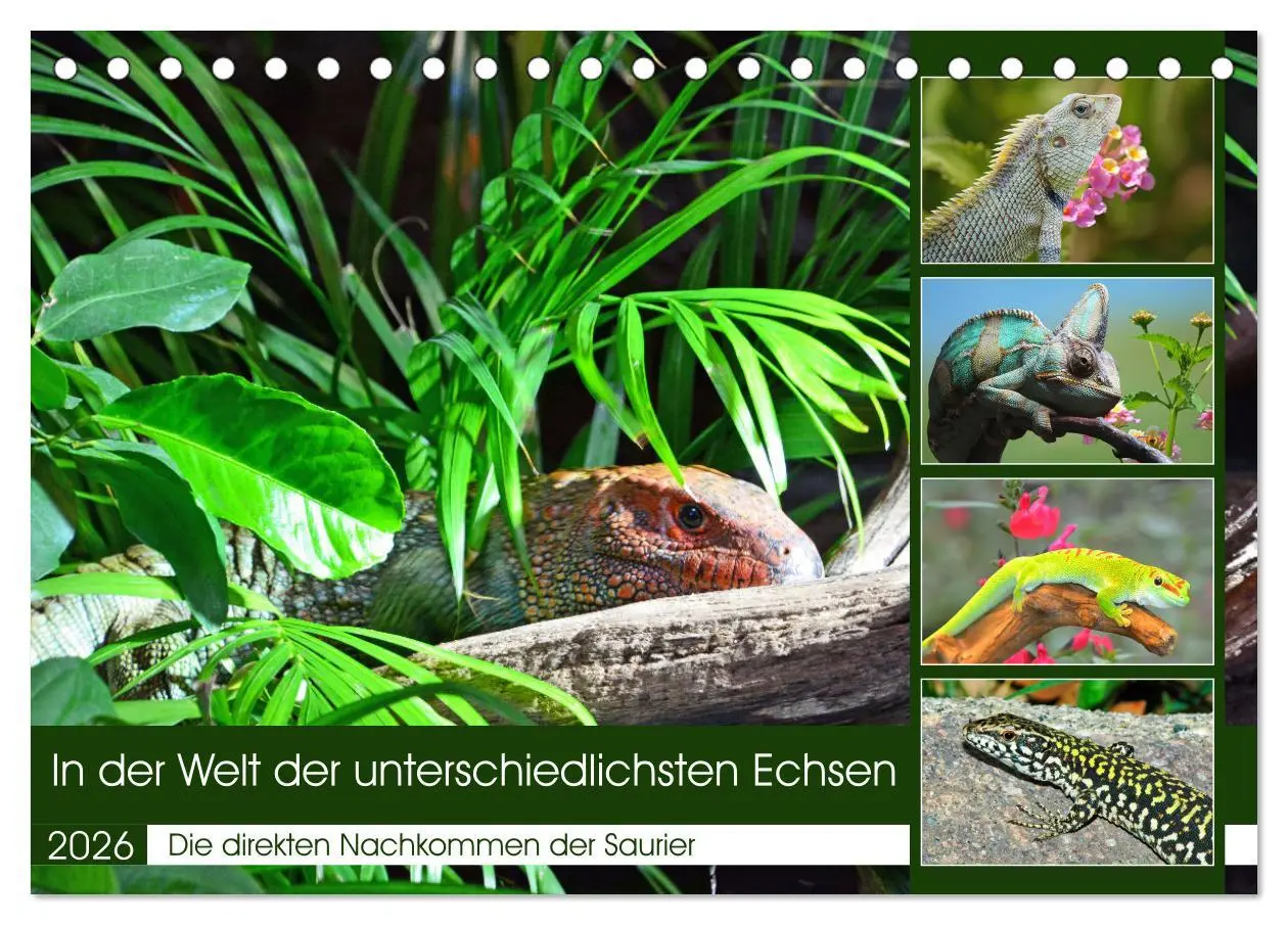 Cover: 9783457571194 | In der Welt der unterschiedlichsten Echsen (Tischkalender 2026 DIN...