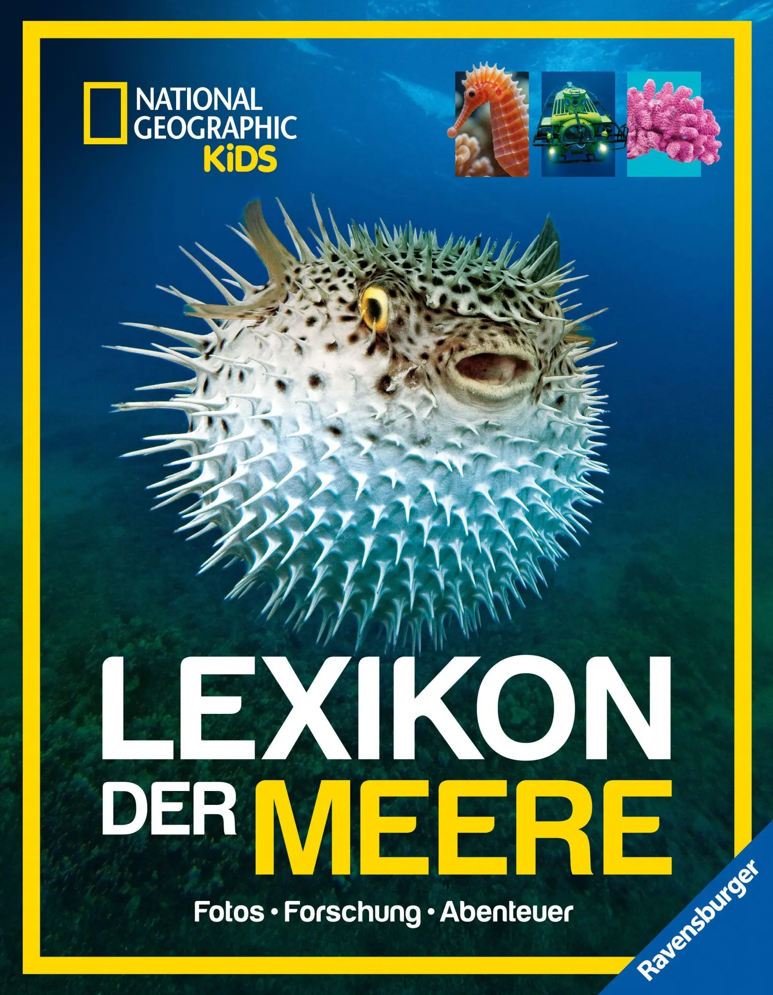 Cover: 9783473481194 | National Geographic Kids - Lexikon der Meere | Christina Wilsdon