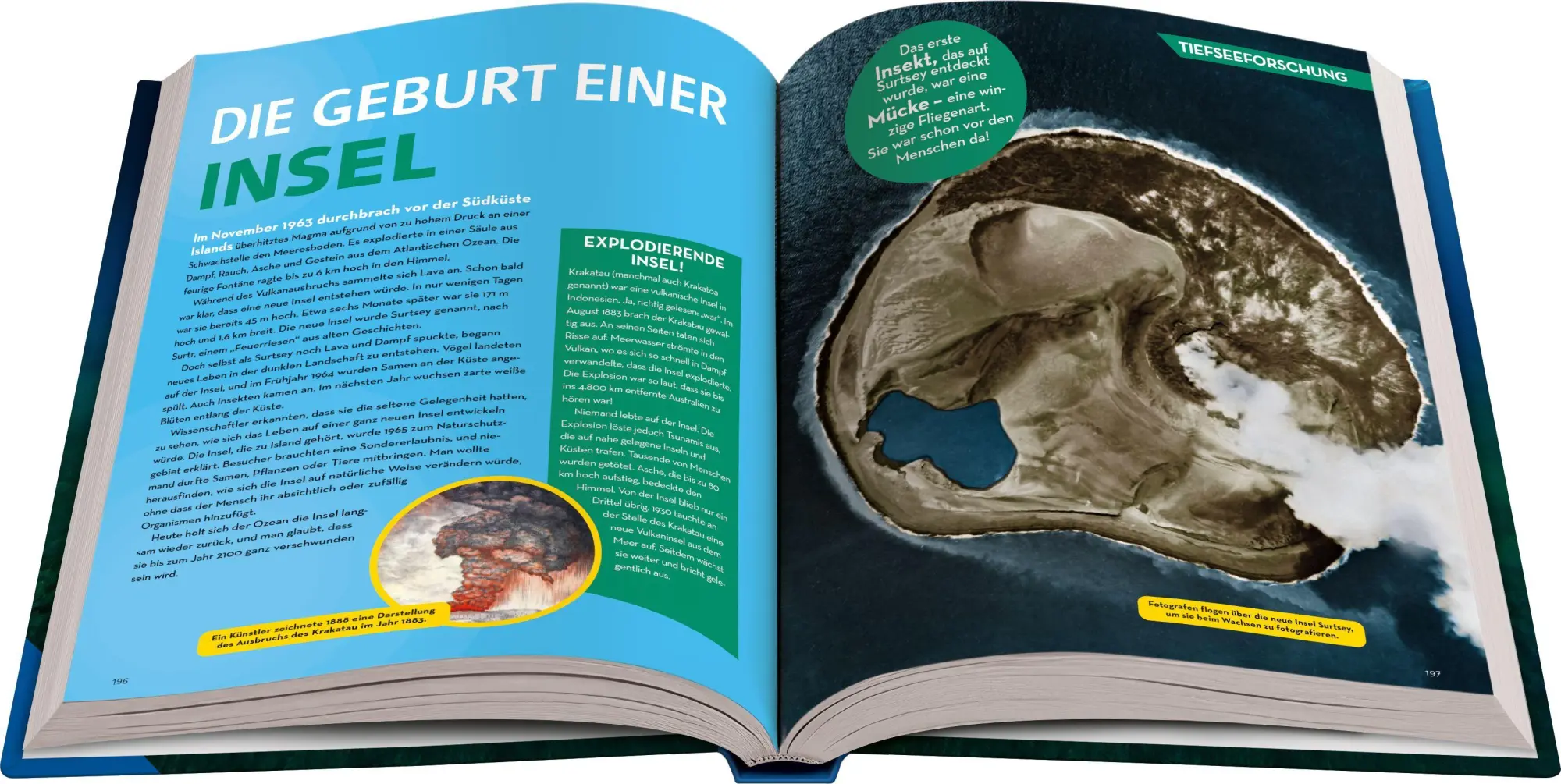 Bild: 9783473481194 | National Geographic Kids - Lexikon der Meere | Christina Wilsdon