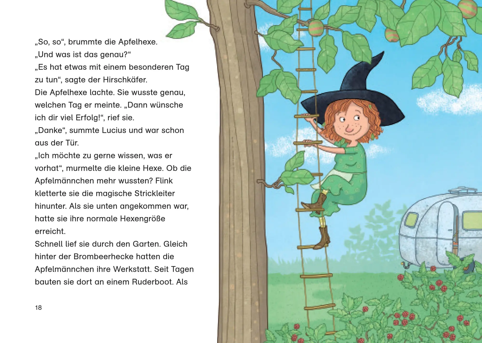 Bild: 9783833911194 | Petronella Apfelmus - Magischer Doppelband | Sabine Städing | Buch