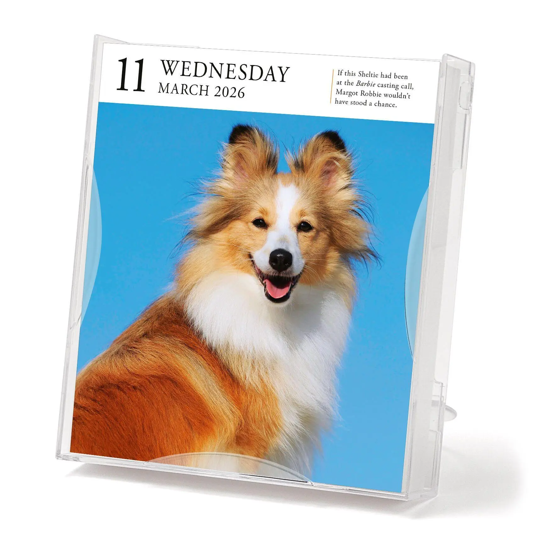 Bild: 9781523531394 | Dog Page-A-Day(r) Gallery Calendar 2026 | Workman Calendars | Kalender