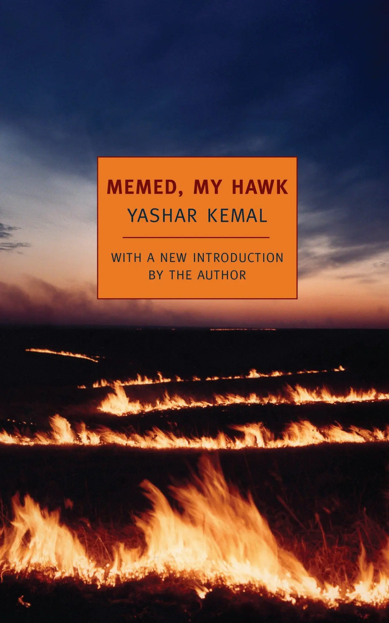 Cover: 9781590171394 | Memed, My Hawk | Yashar Kemal | Taschenbuch | Englisch | 2005