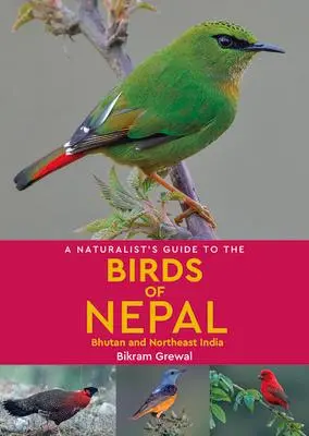 Cover: 9781912081394 | A Naturalist's Guide to the Birds of Nepal | Bikram Grewal | Buch