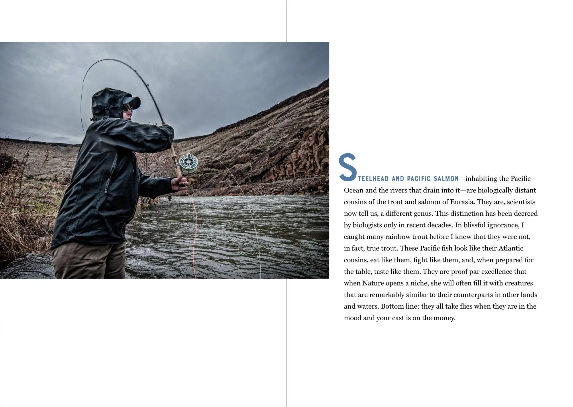 Bild: 9781648291494 | The Catch of a Lifetime | Moments of Flyfishing Glory | Peter Kaminsky