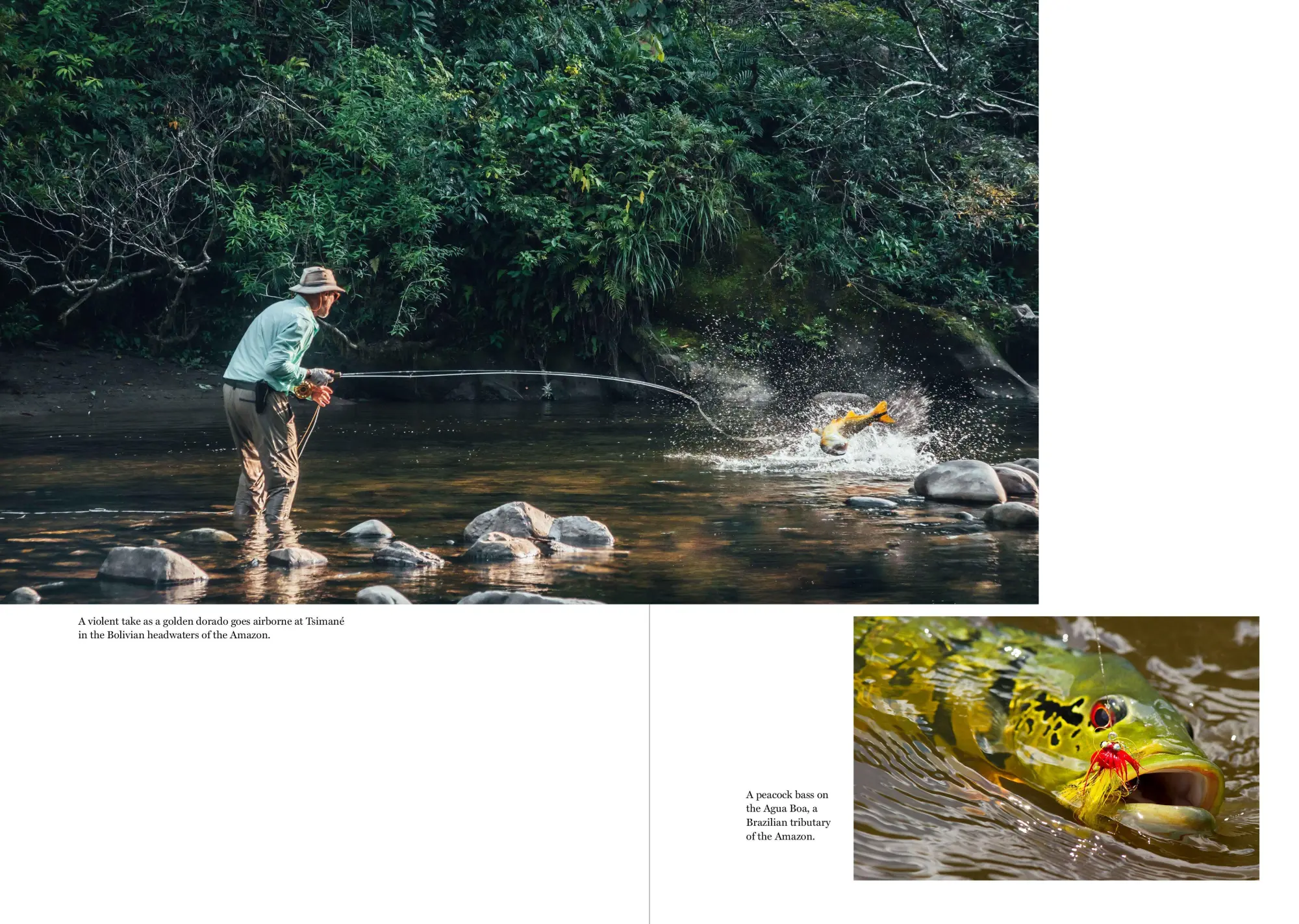 Bild: 9781648291494 | The Catch of a Lifetime | Moments of Flyfishing Glory | Peter Kaminsky
