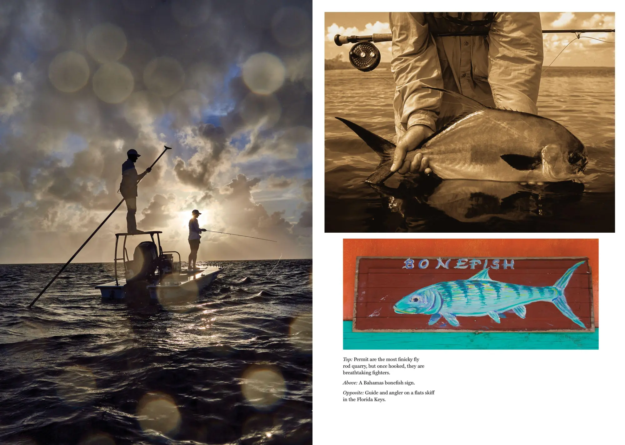 Bild: 9781648291494 | The Catch of a Lifetime | Moments of Flyfishing Glory | Peter Kaminsky