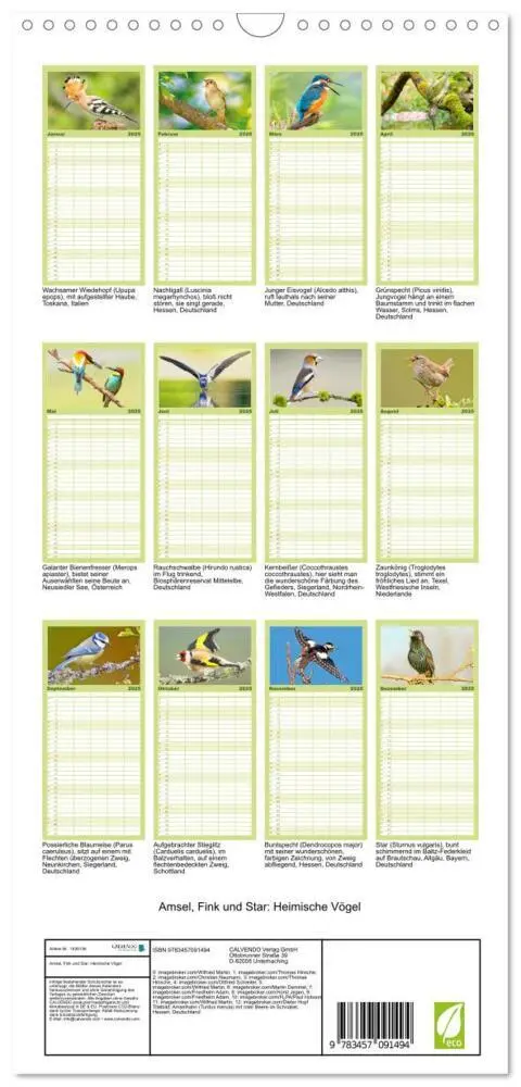 Bild: 9783457091494 | Familienplaner 2025 - Amsel, Fink und Star: Heimische Vögel mit 5...