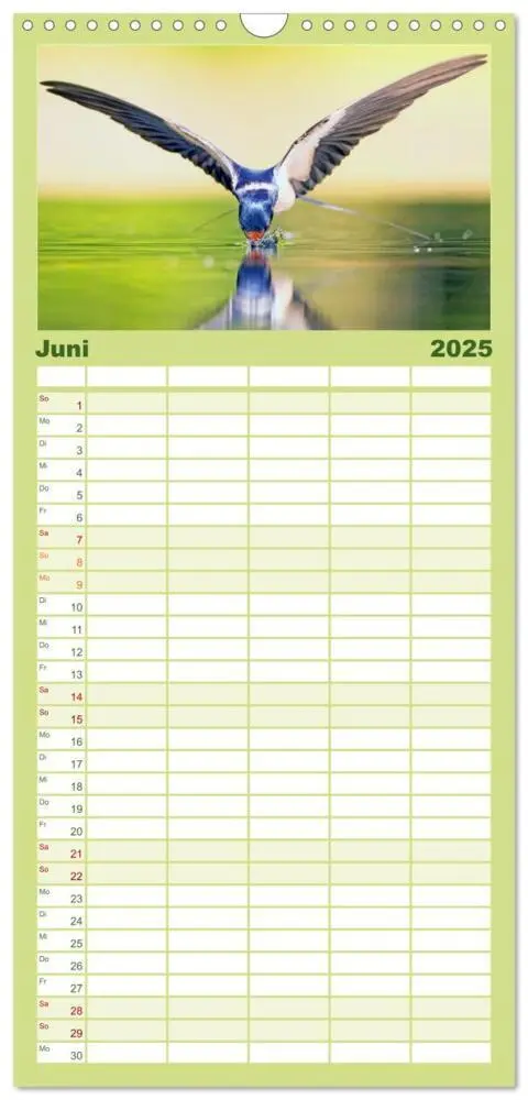Bild: 9783457091494 | Familienplaner 2025 - Amsel, Fink und Star: Heimische Vögel mit 5...