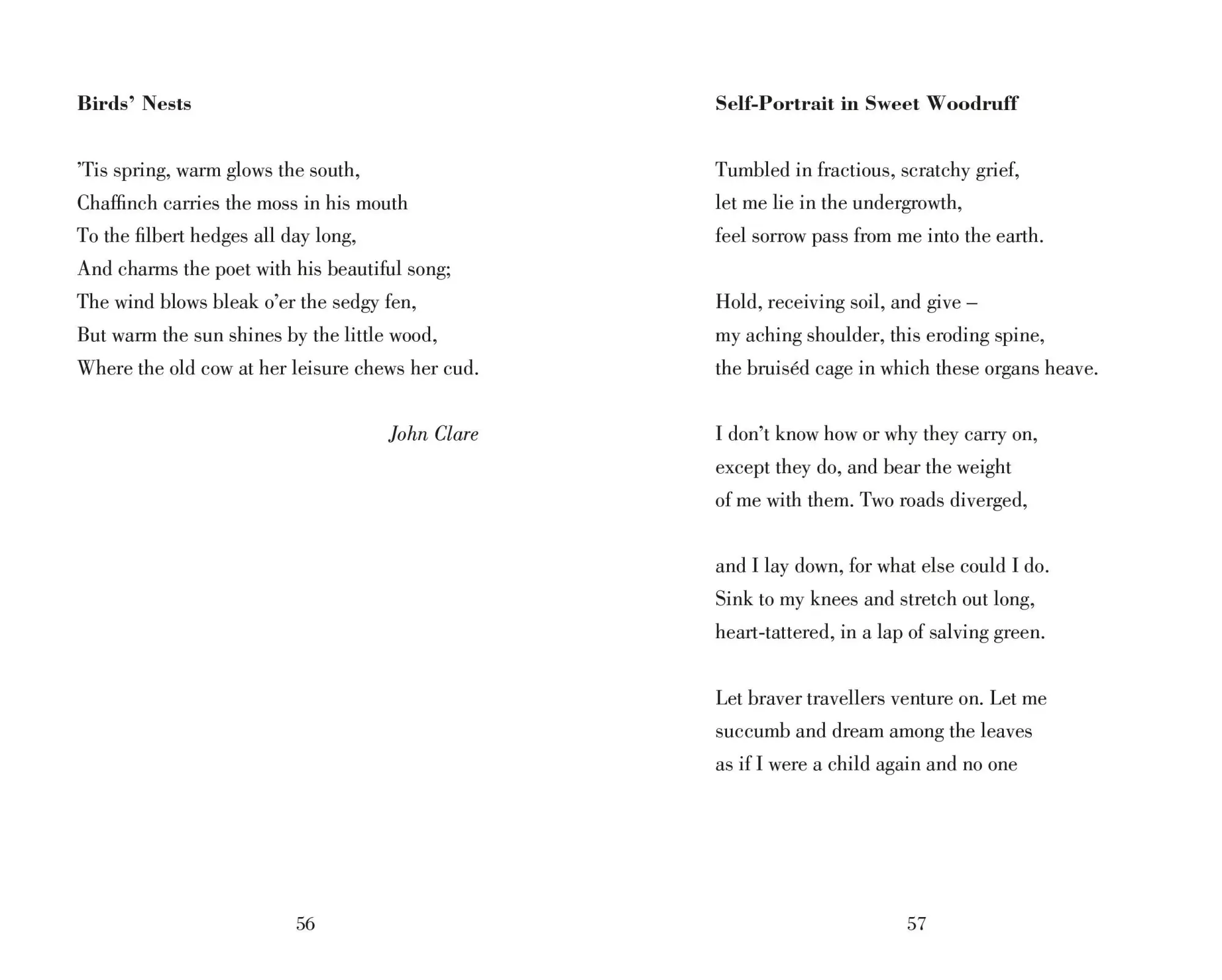 Bild: 9781035061594 | Poetry Prescription: Calm | Deborah Alma | Buch | VIII | Englisch