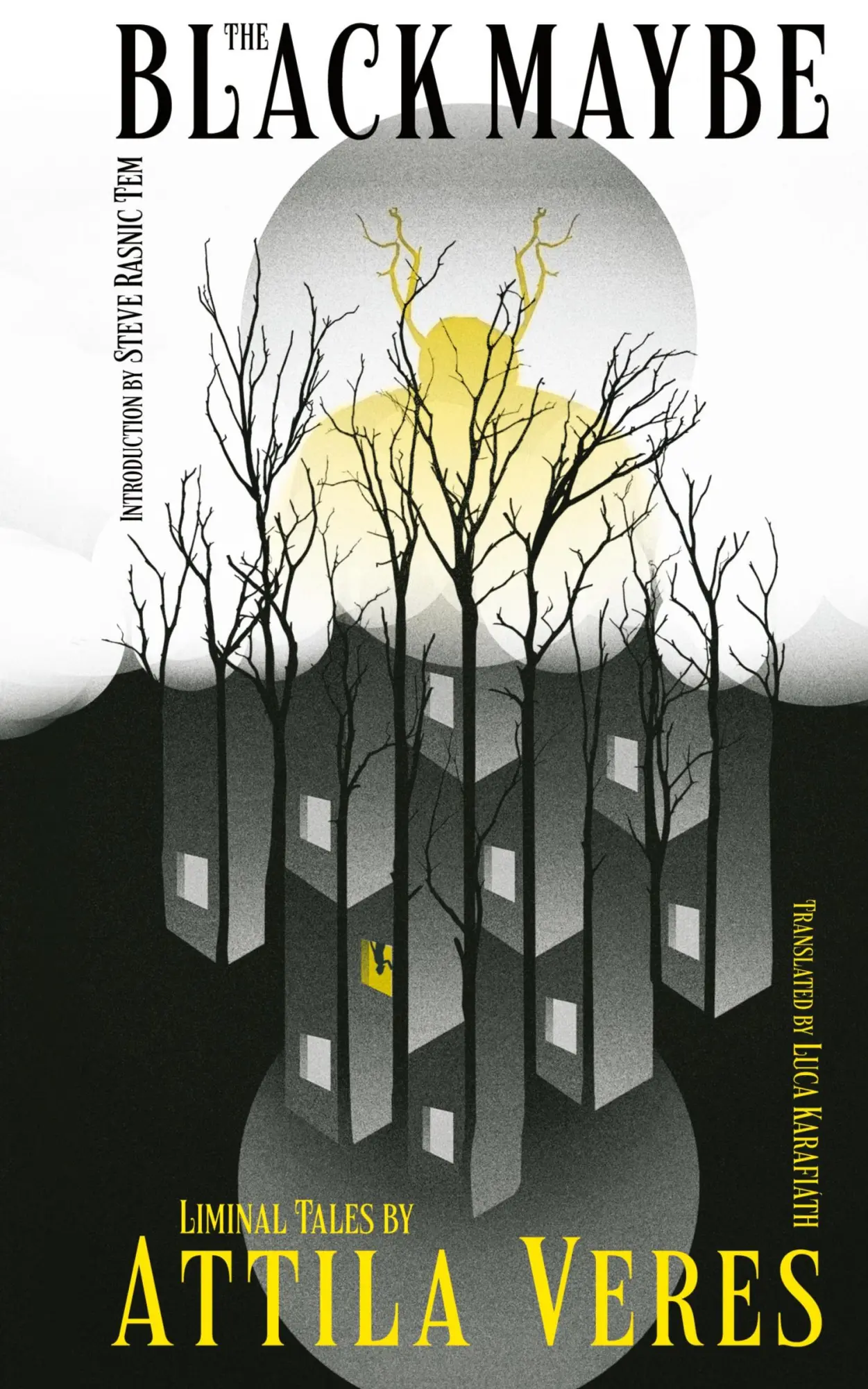 Cover: 9781954321694 | The Black Maybe | Liminal Tales | Attila Veres | Buch | Englisch