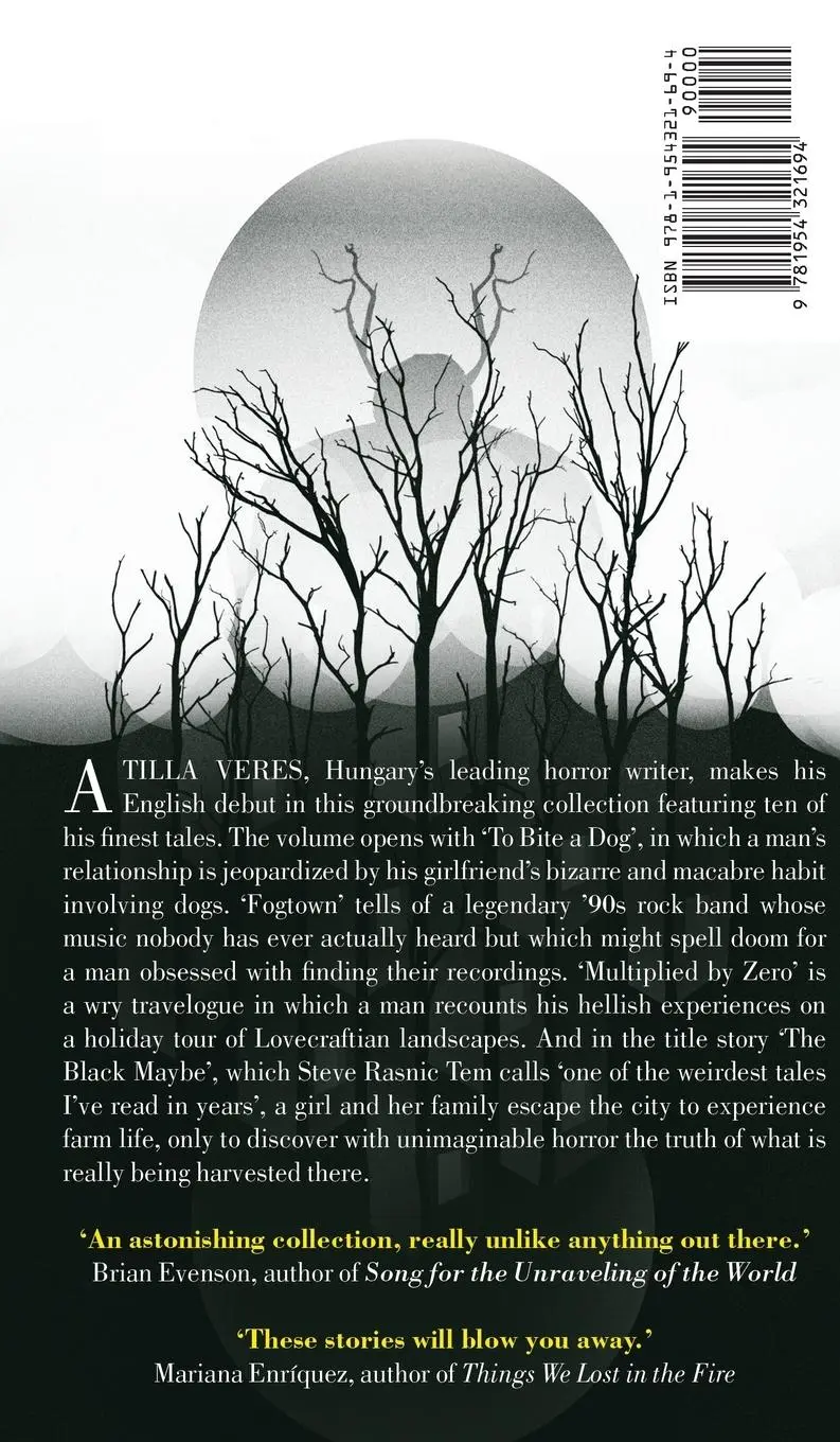 Rückseite: 9781954321694 | The Black Maybe | Liminal Tales | Attila Veres | Buch | Englisch