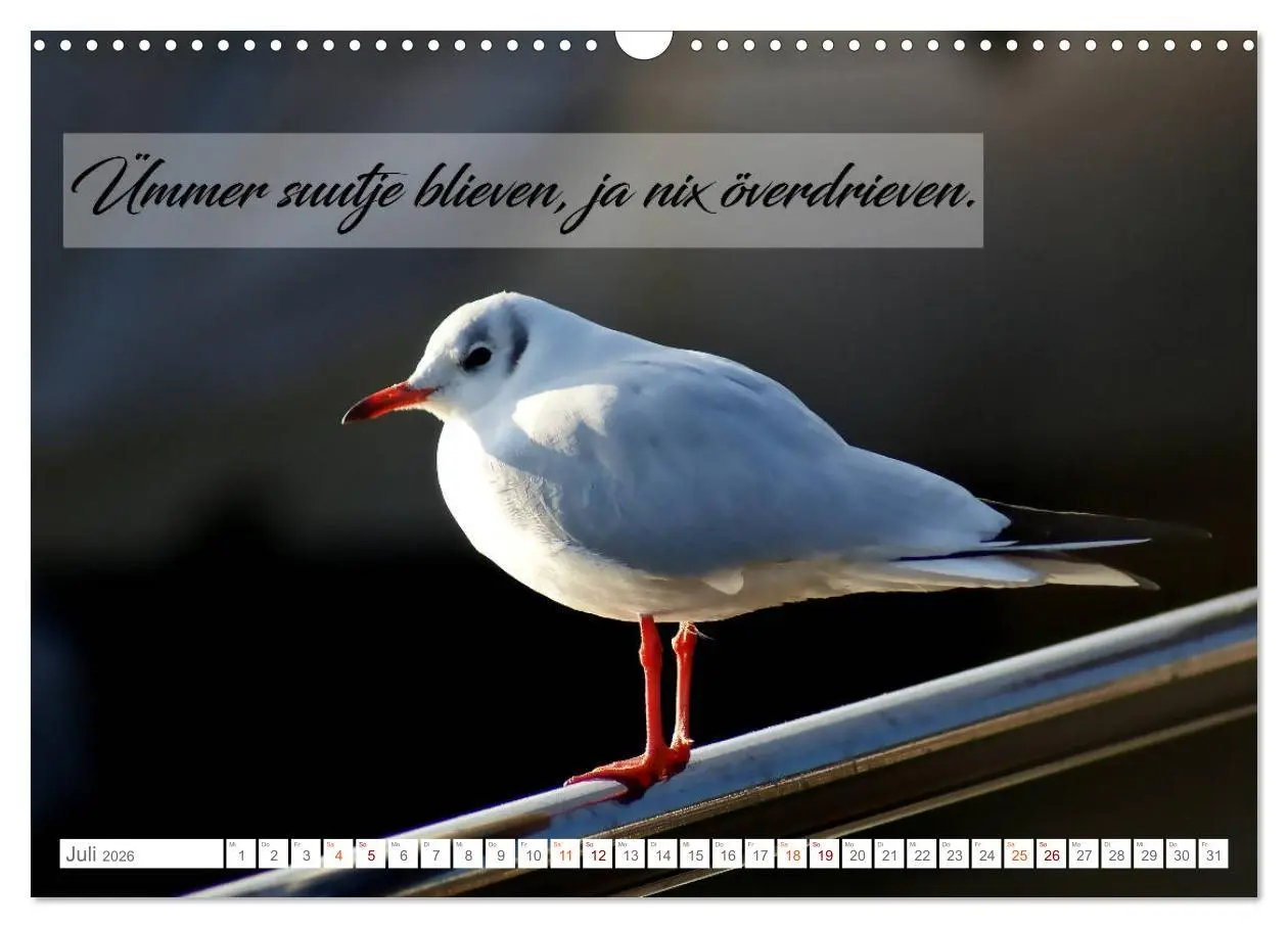 Bild: 9783457831694 | Plattdüütsche Sprökje 2026 (Wandkalender 2026 DIN A3 quer),...