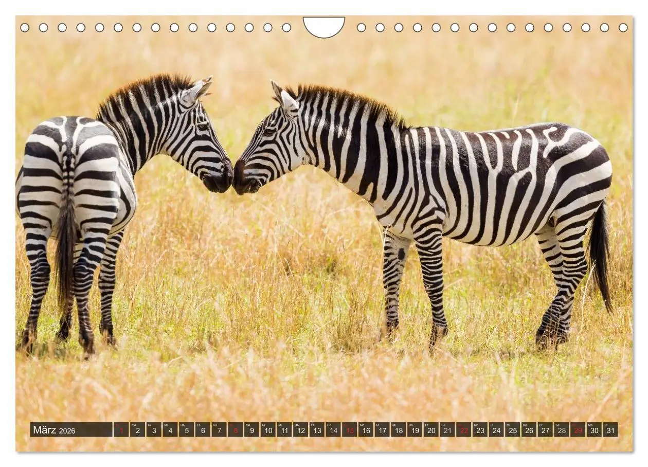 Bild: 9783516161694 | Kenia 2026 (Wandkalender 2026 DIN A4 quer), CALVENDO Monatskalender