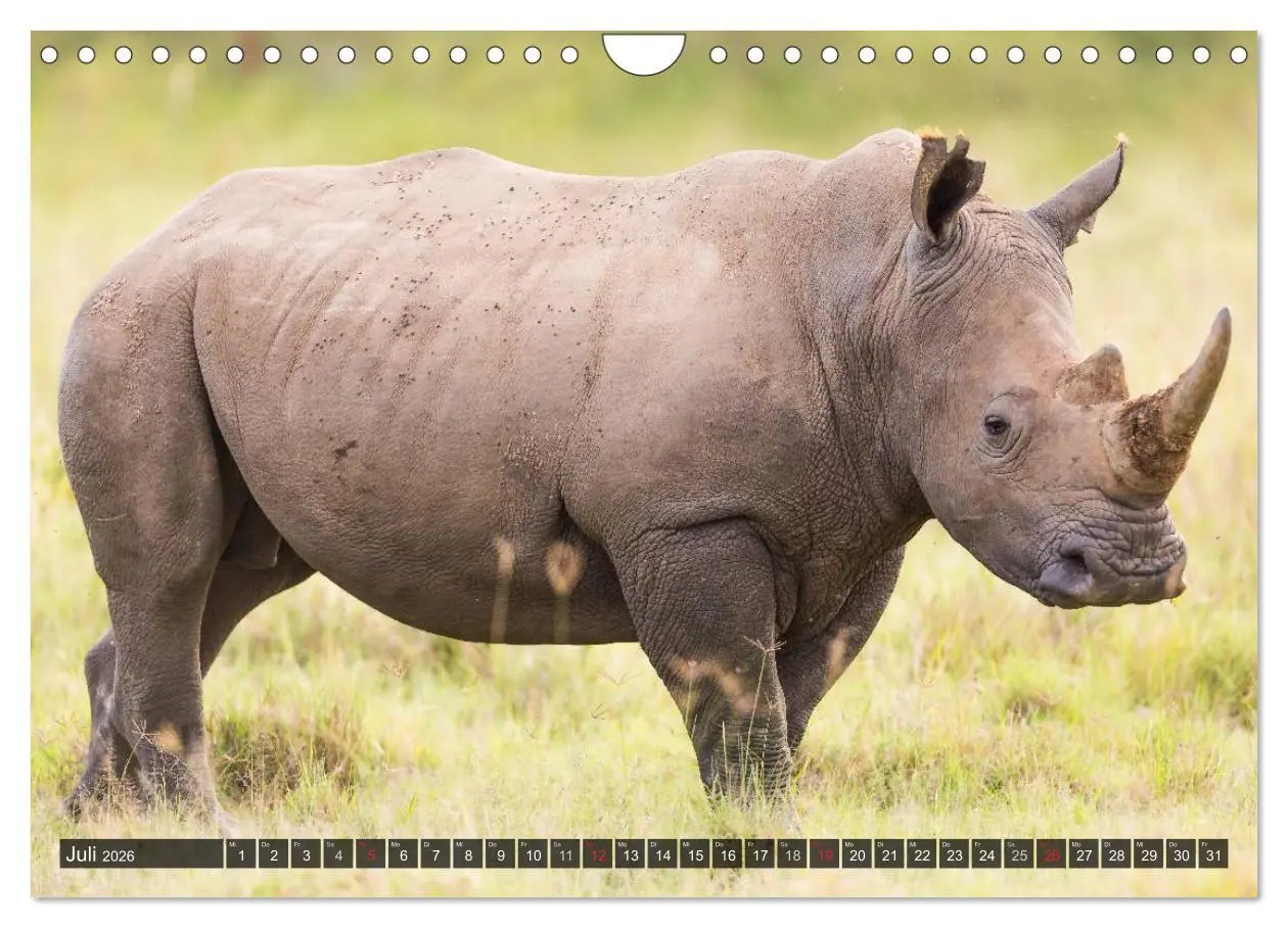 Bild: 9783516161694 | Kenia 2026 (Wandkalender 2026 DIN A4 quer), CALVENDO Monatskalender