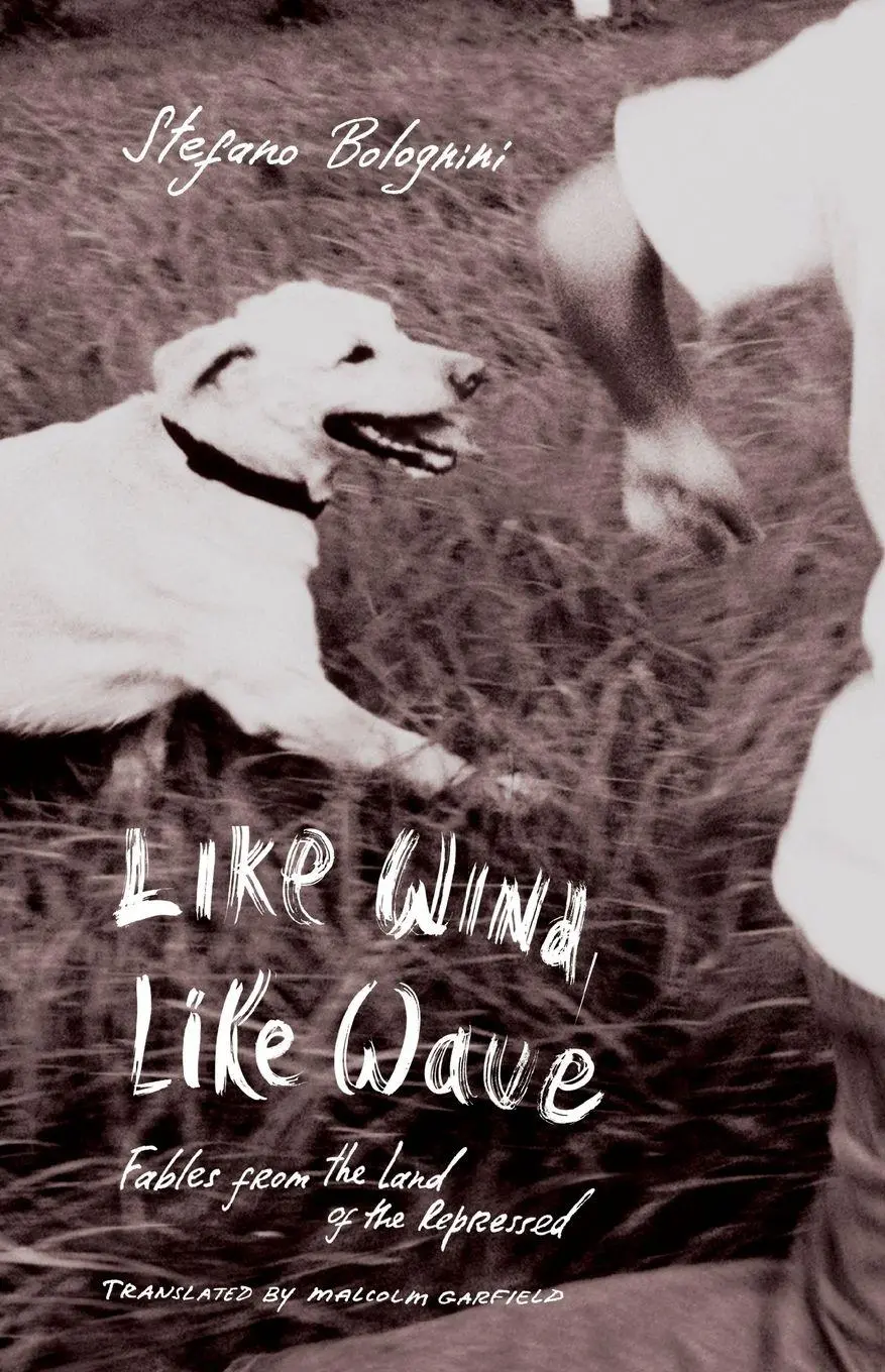 Cover: 9781590511794 | Like Wind, Like Wave | Stefano Bolognini | Taschenbuch | Englisch