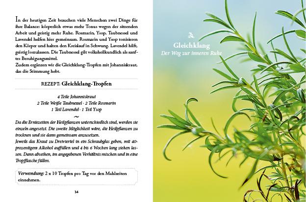 Bild: 9783710401794 | Das kleine Buch: Vergessene Hausmittel | Karin Buchart | Buch | 64 S.