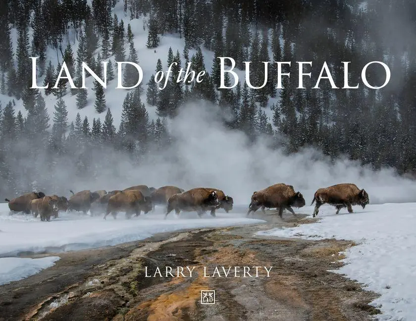 Land of Buffalo