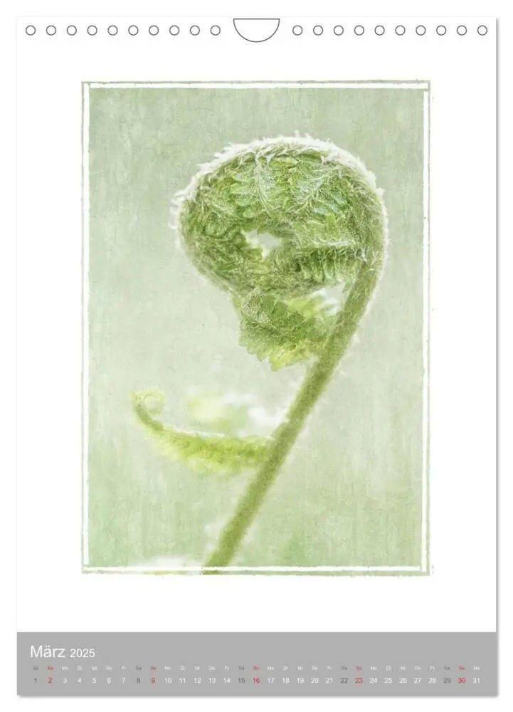 Bild: 9783457051894 | Kunstwerk Natur (Wandkalender 2025 DIN A4 hoch), CALVENDO...