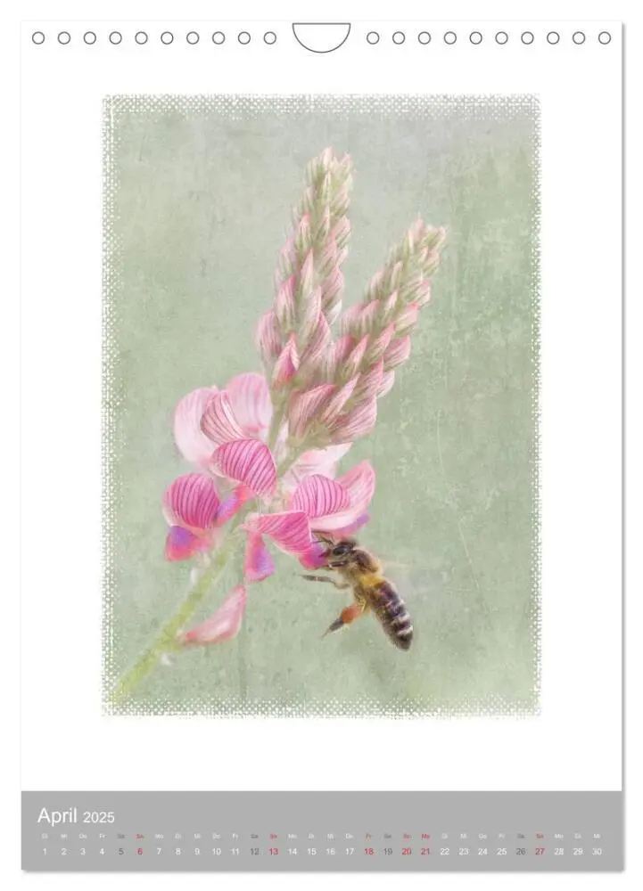 Bild: 9783457051894 | Kunstwerk Natur (Wandkalender 2025 DIN A4 hoch), CALVENDO...