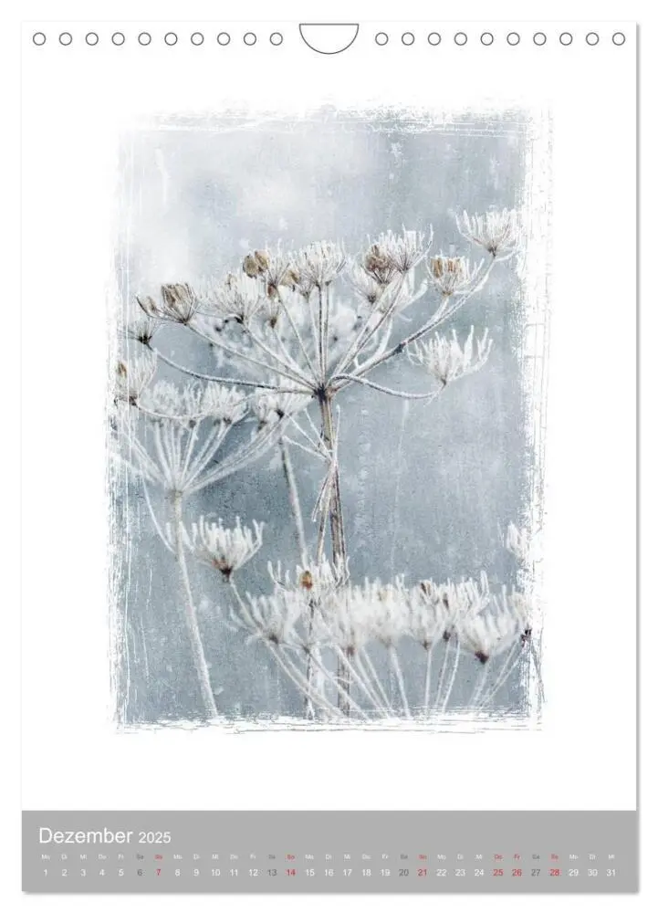 Bild: 9783457051894 | Kunstwerk Natur (Wandkalender 2025 DIN A4 hoch), CALVENDO...