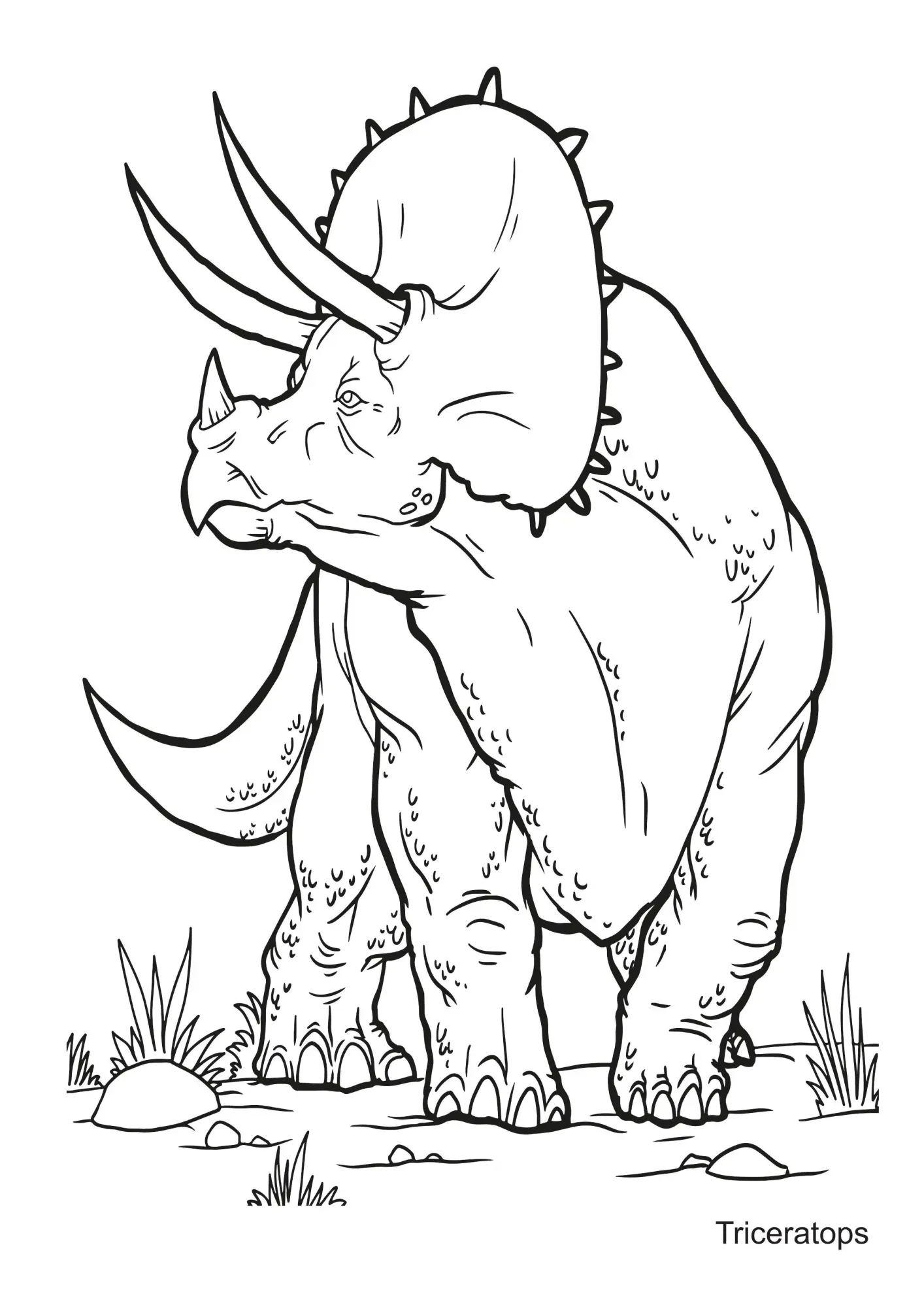 Bild: 9783986571894 | Dinosaurier Malbuch | Josef Mickey Müller | Taschenbuch | 104 S.