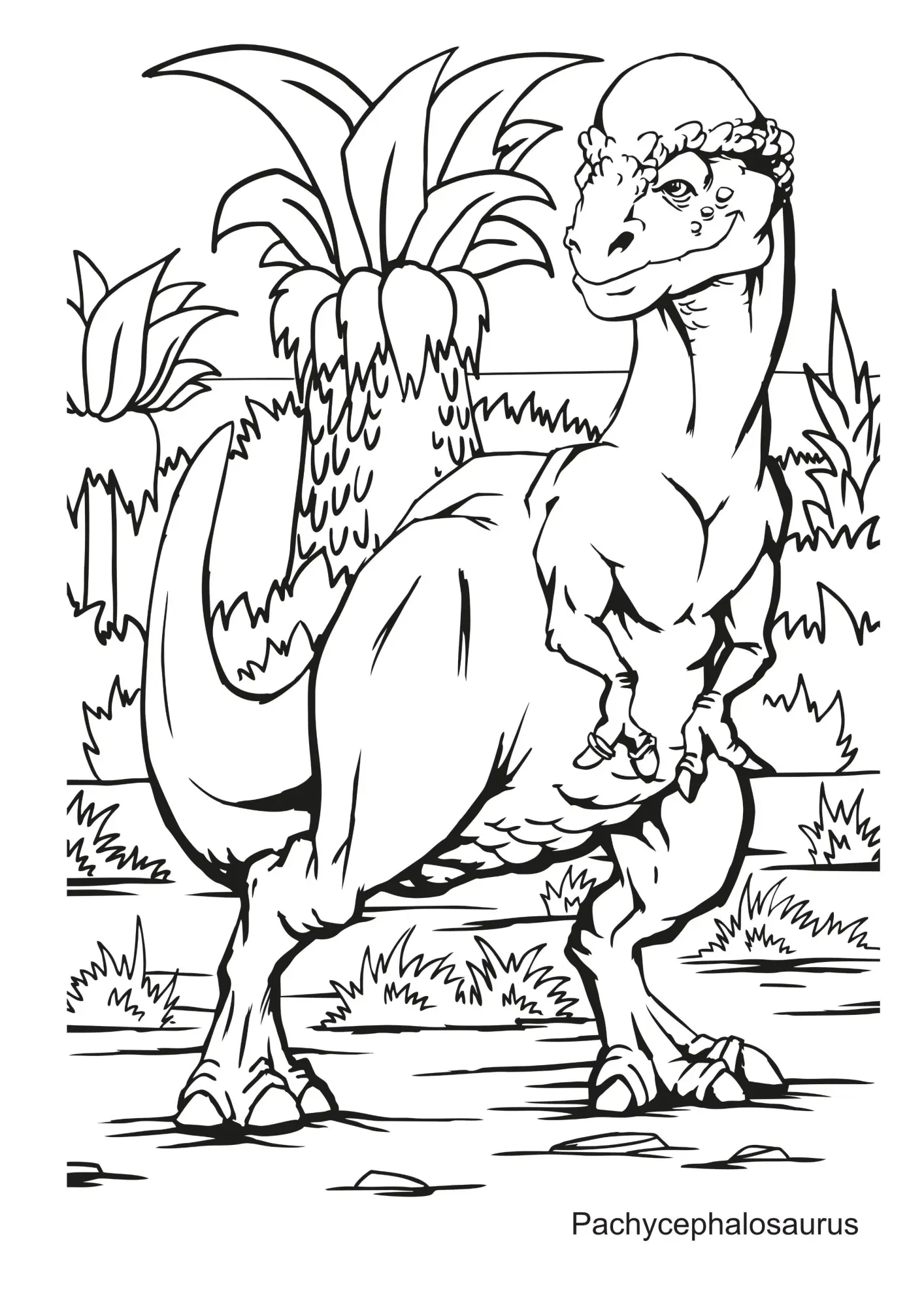 Bild: 9783986571894 | Dinosaurier Malbuch | Josef Mickey Müller | Taschenbuch | 104 S.