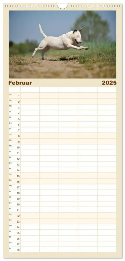 Bild: 9783457111994 | Familienplaner 2025 - Bullterrier? Was sonst! mit 5 Spalten...