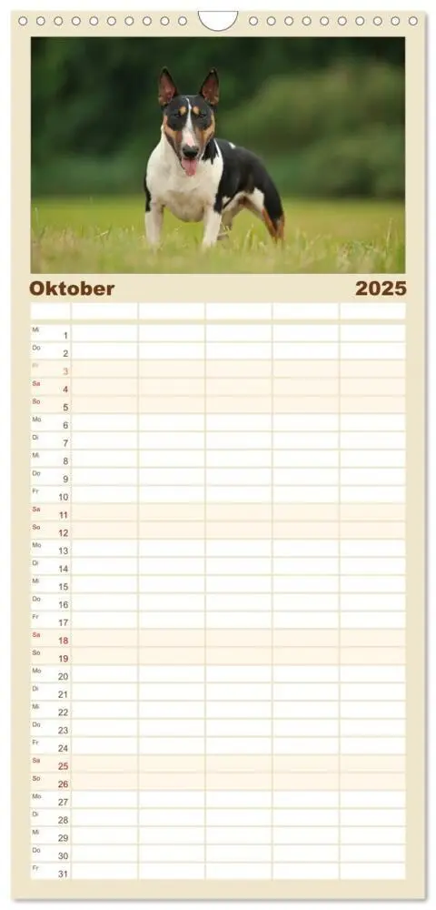 Bild: 9783457111994 | Familienplaner 2025 - Bullterrier? Was sonst! mit 5 Spalten...