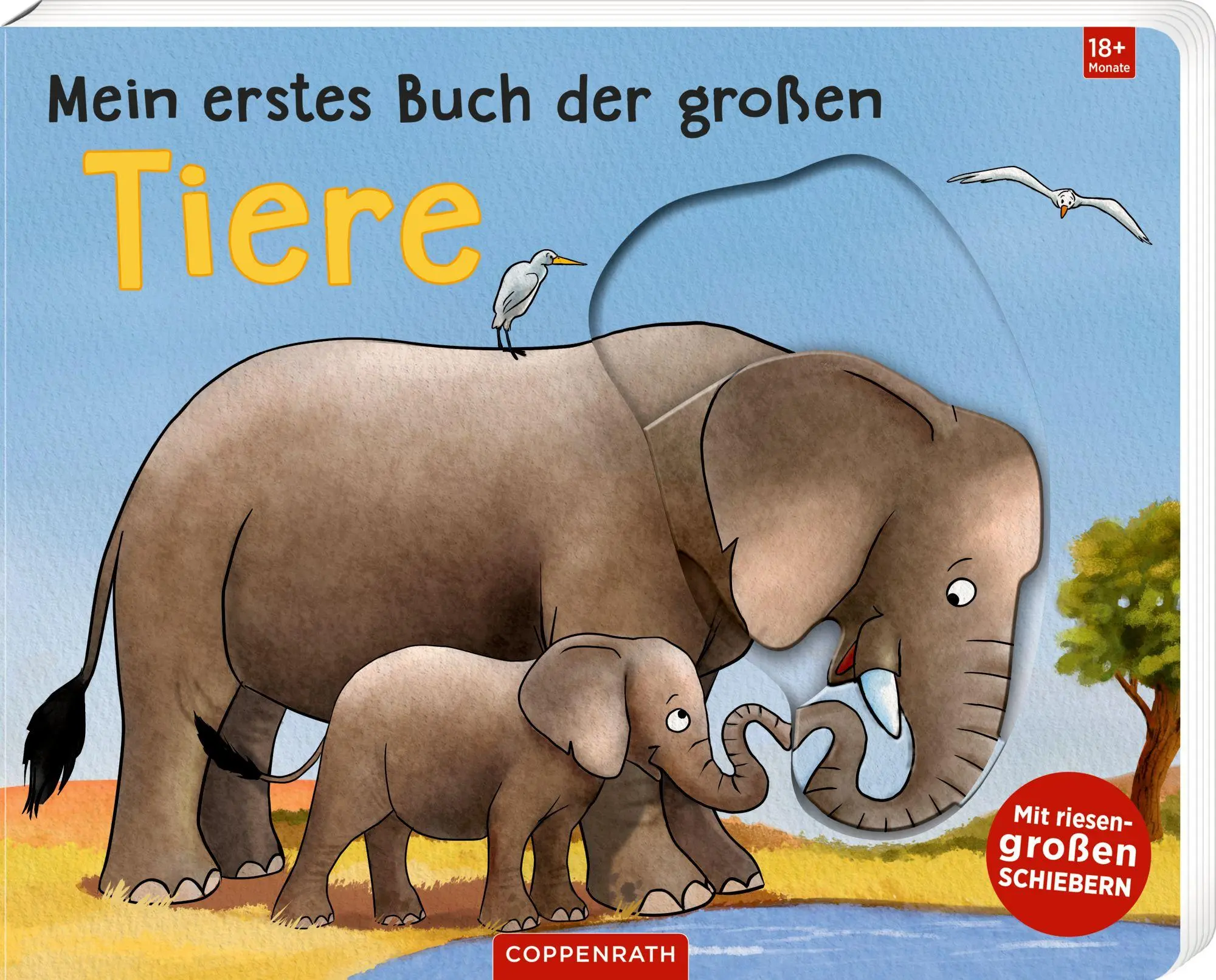Cover: 9783649651994 | Mein erstes Buch der großen Tiere | Sandra Grimm | Buch | 10 S. | 2026