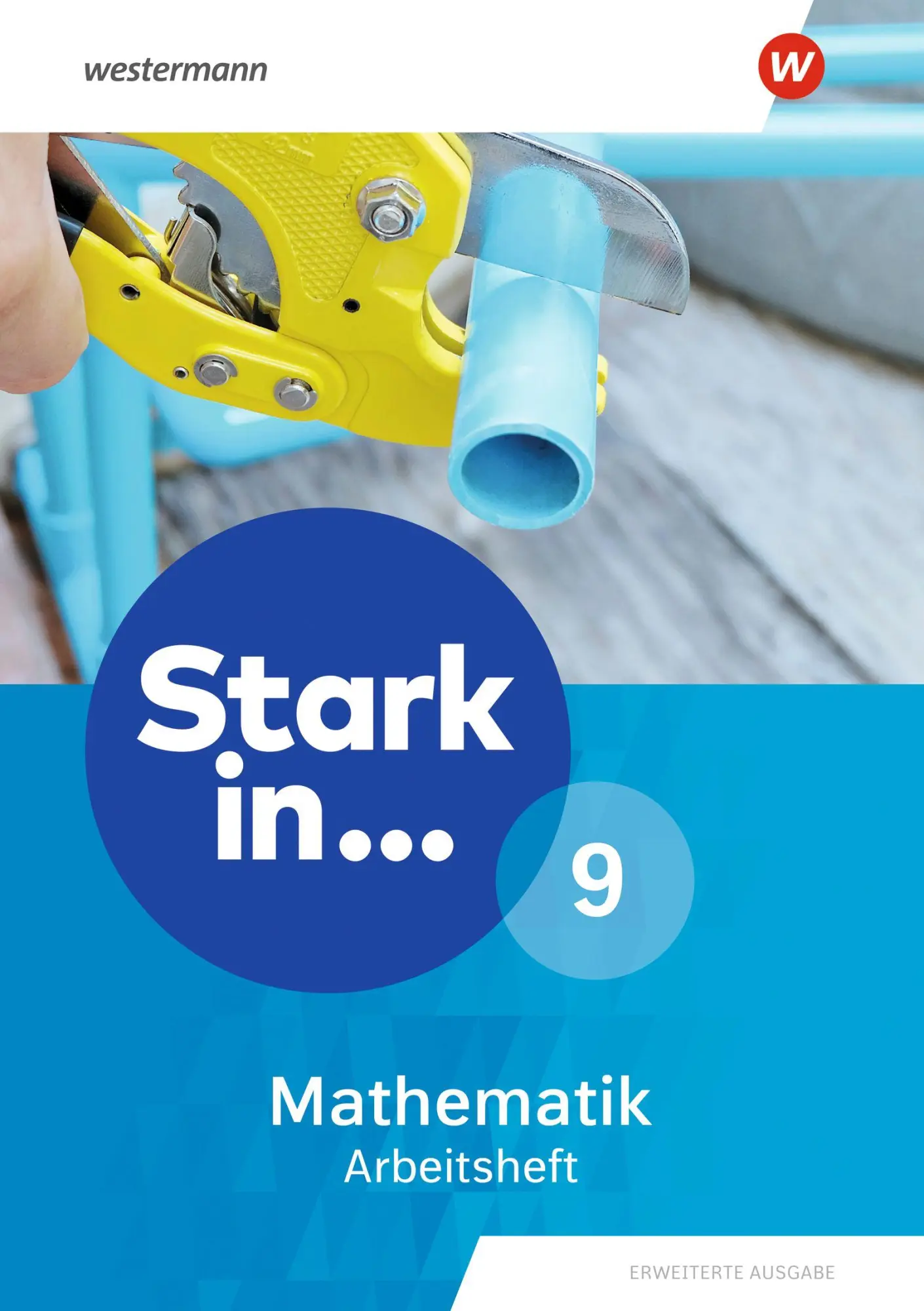 Cover: 9783141262094 | Stark in Mathematik - Arbeitsheft 9. Erweiterte Ausgabe 2021 | 80 S.