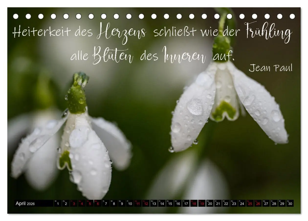 Bild: 9783457622094 | Bilder und Texte für die Seele (Tischkalender 2026 DIN A5 quer),...