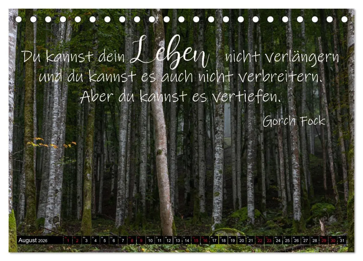 Bild: 9783457622094 | Bilder und Texte für die Seele (Tischkalender 2026 DIN A5 quer),...