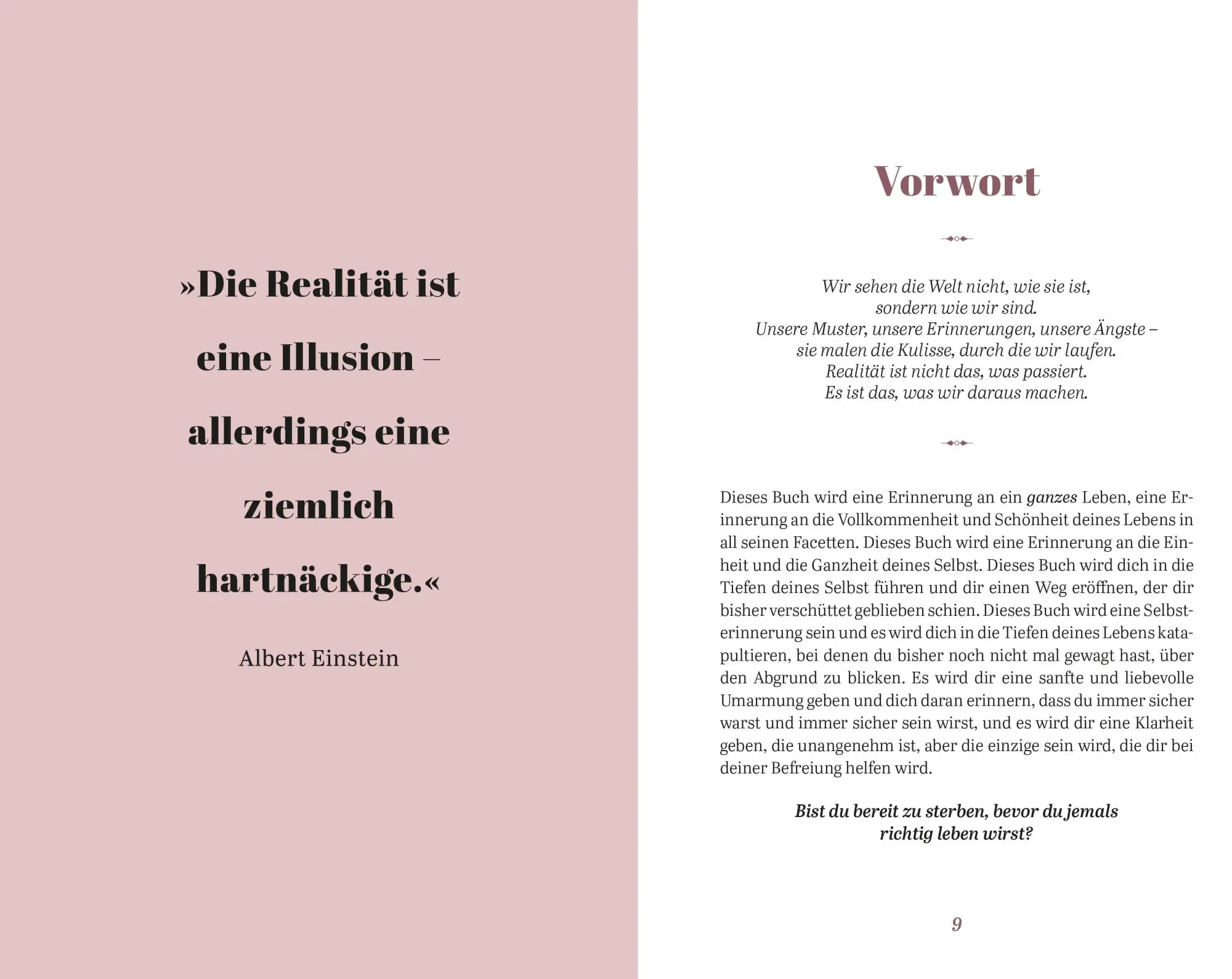 Bild: 9783868262094 | Die Antwort bist du - Eine Erinnerung an dein ganzes Leben | Plock