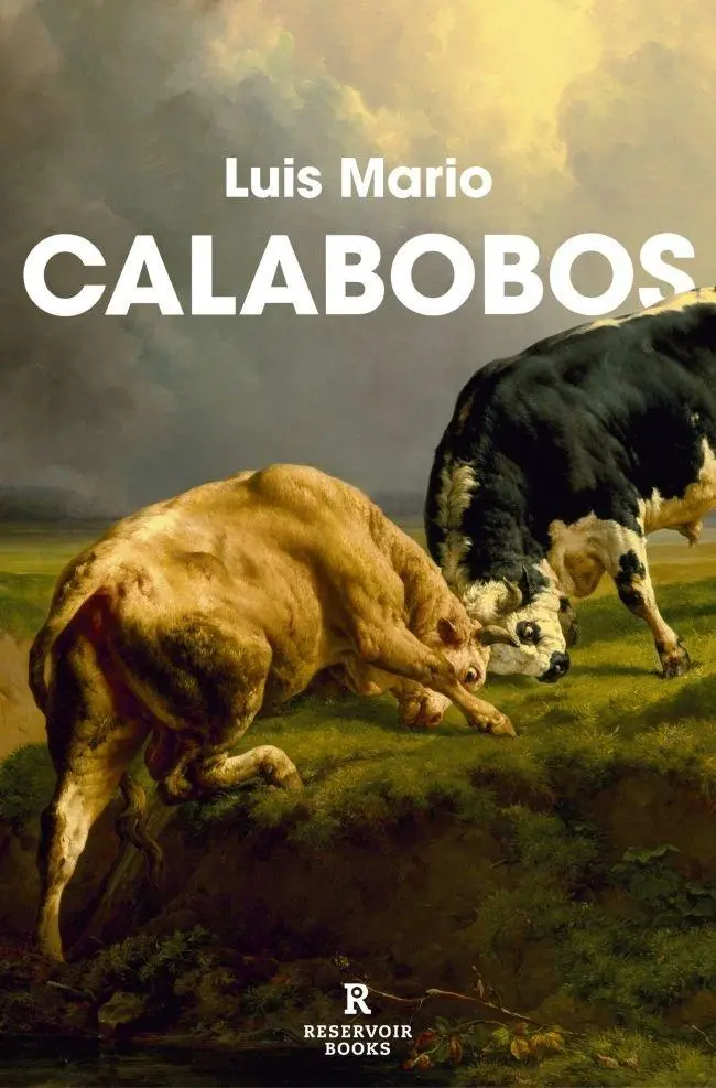 Cover: 9788410352094 | Calabobos | Taschenbuch | Spanisch | RESERVOIR BOOKS