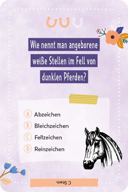 Bild: 4260478342194 | Kartenspiel: Das pferdestarke Quiz von den beliebten...