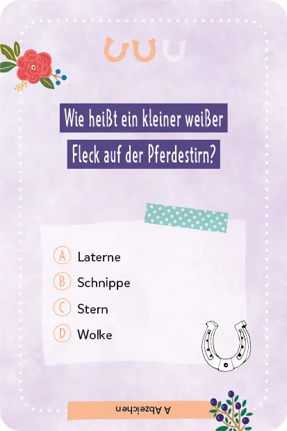 Bild: 4260478342194 | Kartenspiel: Das pferdestarke Quiz von den beliebten...