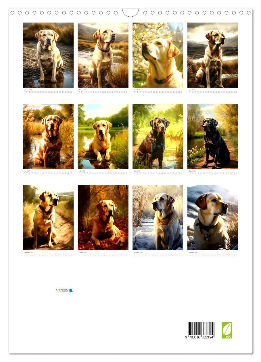 Bild: 9783516322194 | Der Labrador (Wandkalender 2026 DIN A3 hoch), CALVENDO Monatskalender