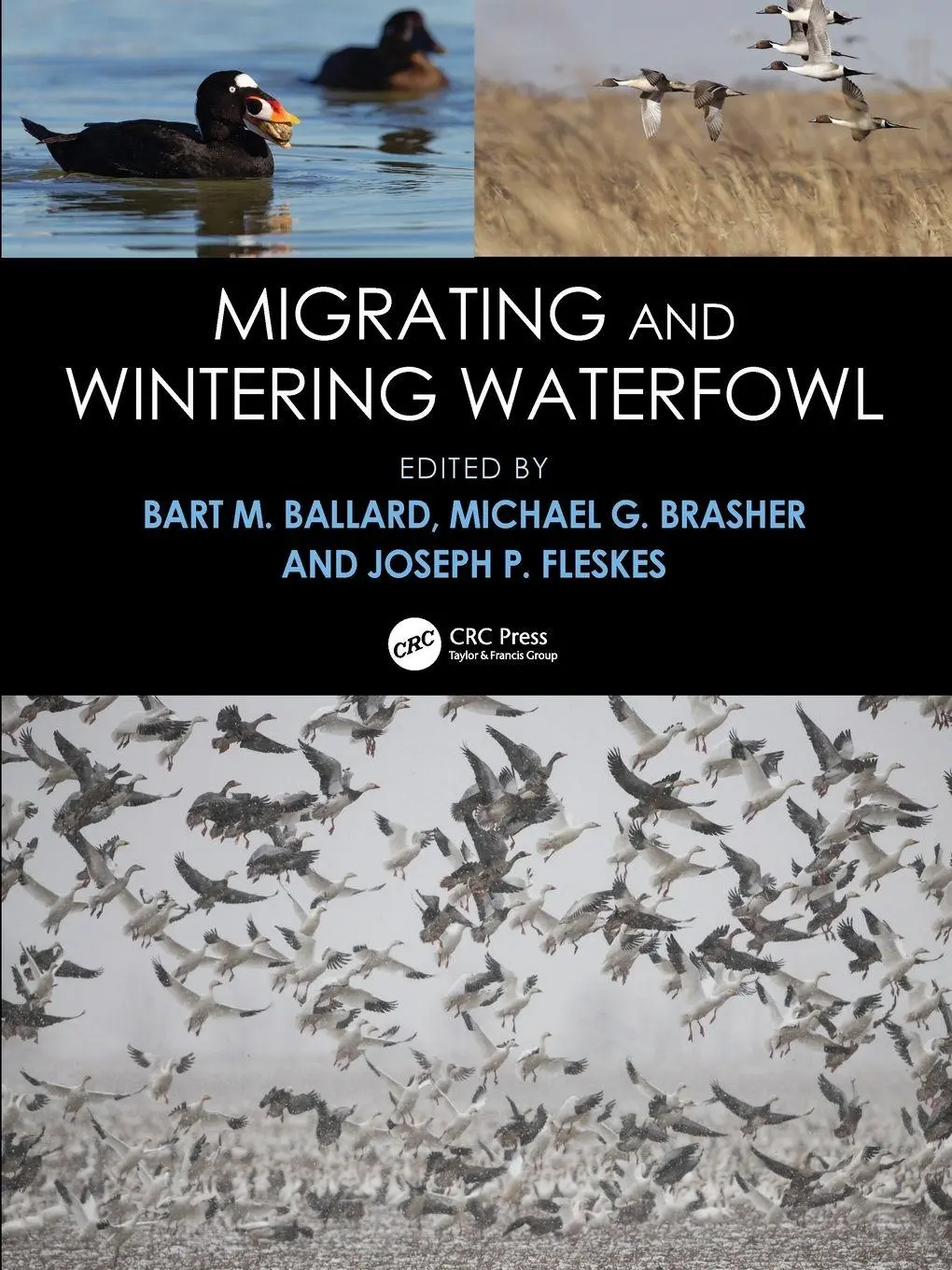 Cover: 9781041142294 | Migrating and Wintering Waterfowl | Bart M Ballard (u. a.) | Buch