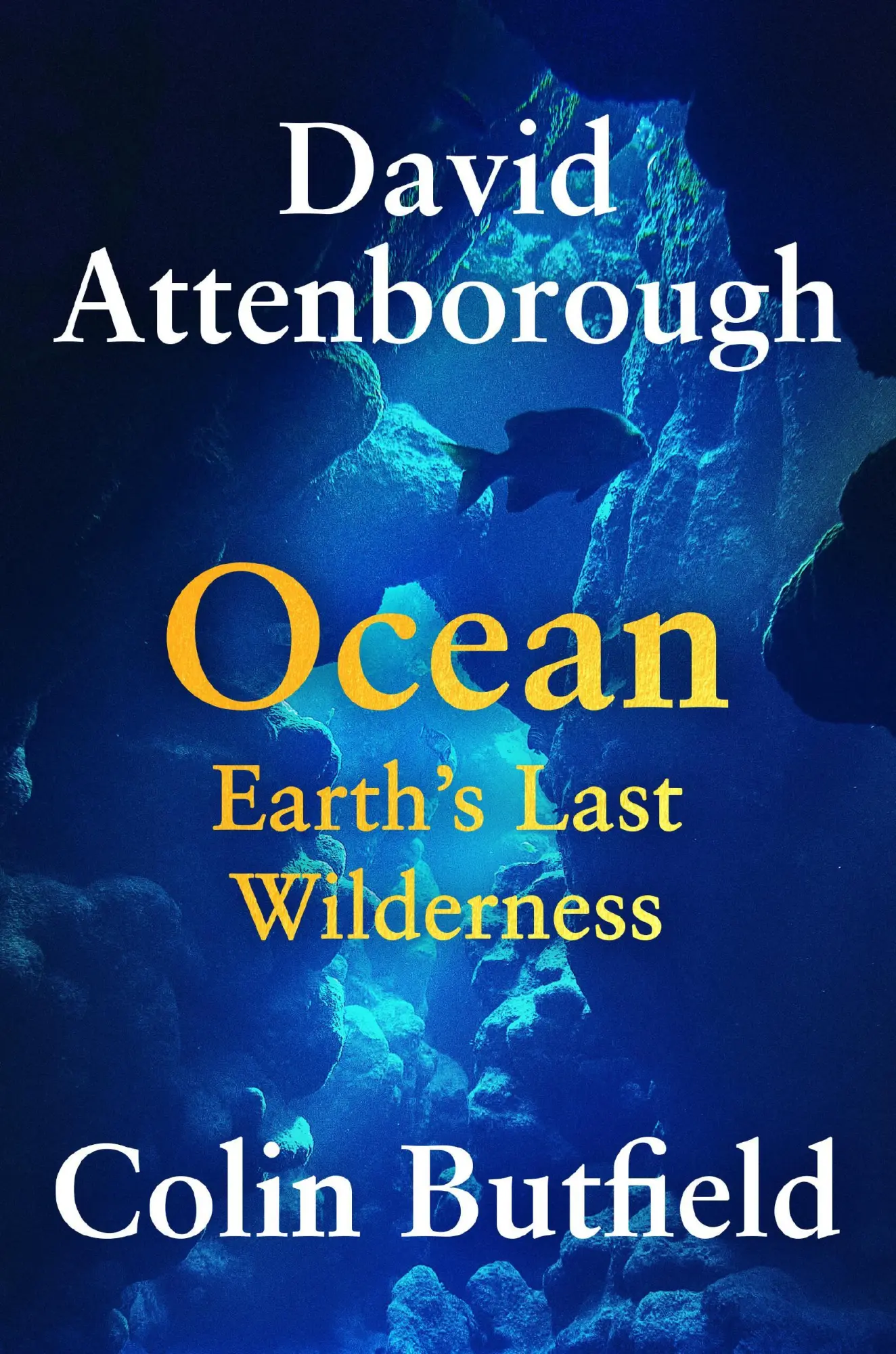 Cover: 9781538772294 | Ocean | Earth's Last Wilderness | David Attenborough (u. a.) | Buch