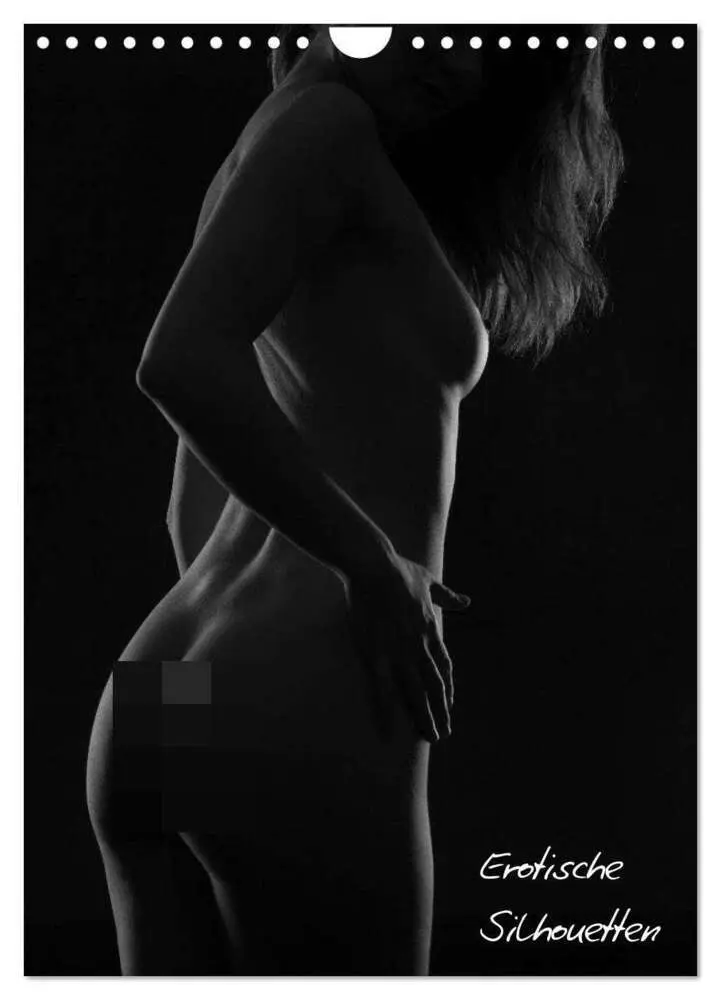 Cover: 9783516482294 | Erotische Silhouetten / CH-Version (Wandkalender 2026 DIN A4 hoch),...