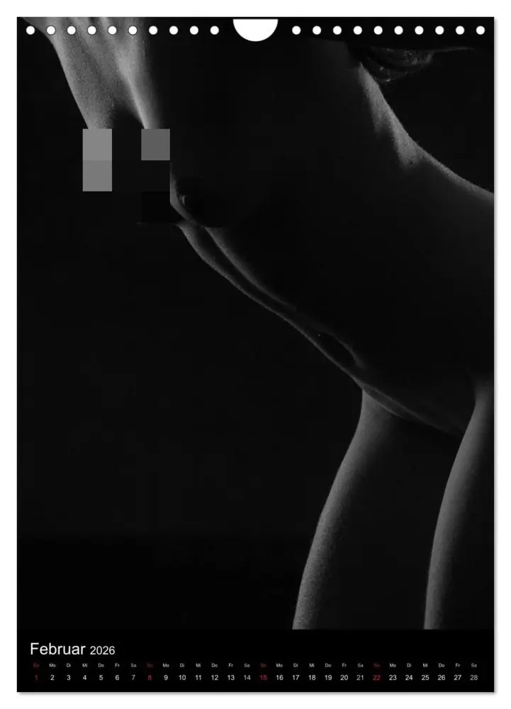 Bild: 9783516482294 | Erotische Silhouetten / CH-Version (Wandkalender 2026 DIN A4 hoch),...
