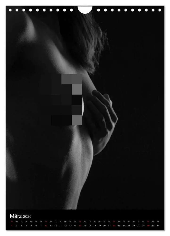 Bild: 9783516482294 | Erotische Silhouetten / CH-Version (Wandkalender 2026 DIN A4 hoch),...